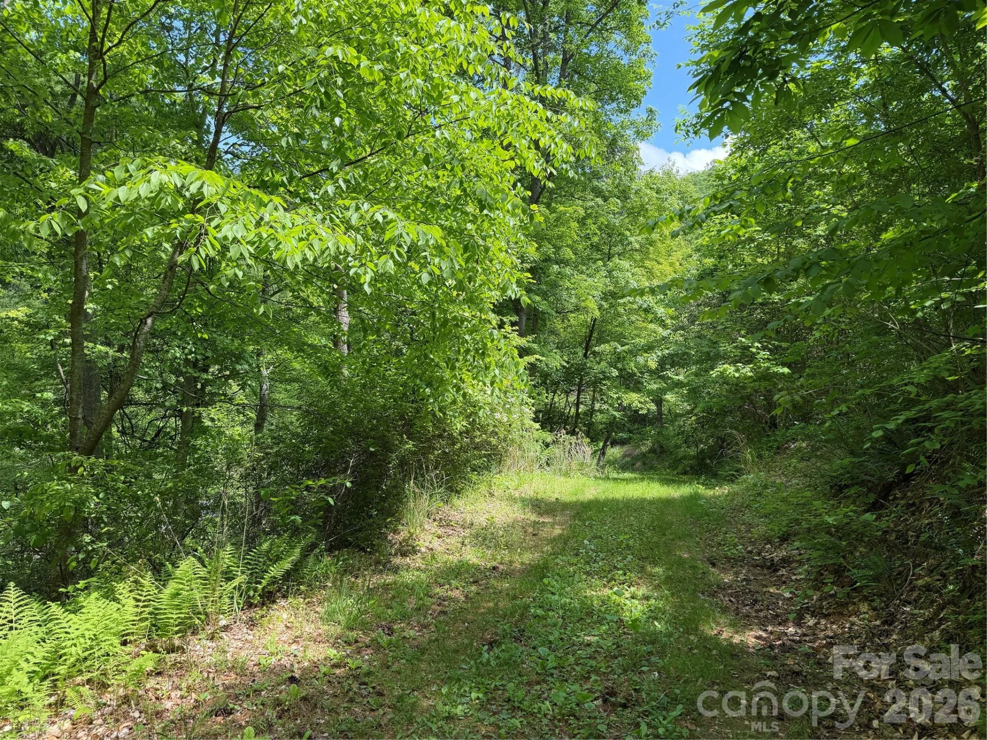 408 Arvil Gosnell Road - Photo 10