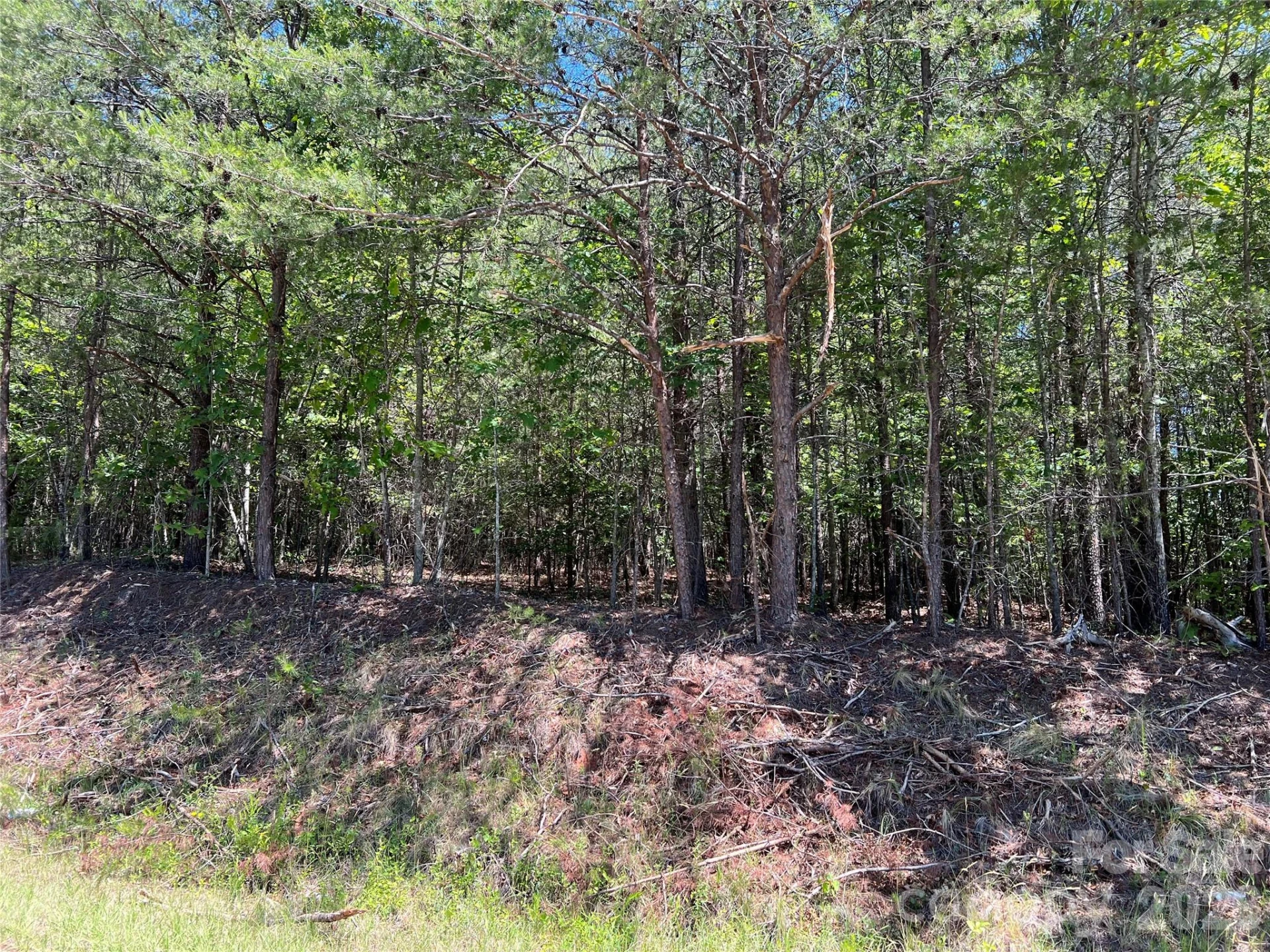 0 Luckadoo Mountain Road #177 - Photo 10