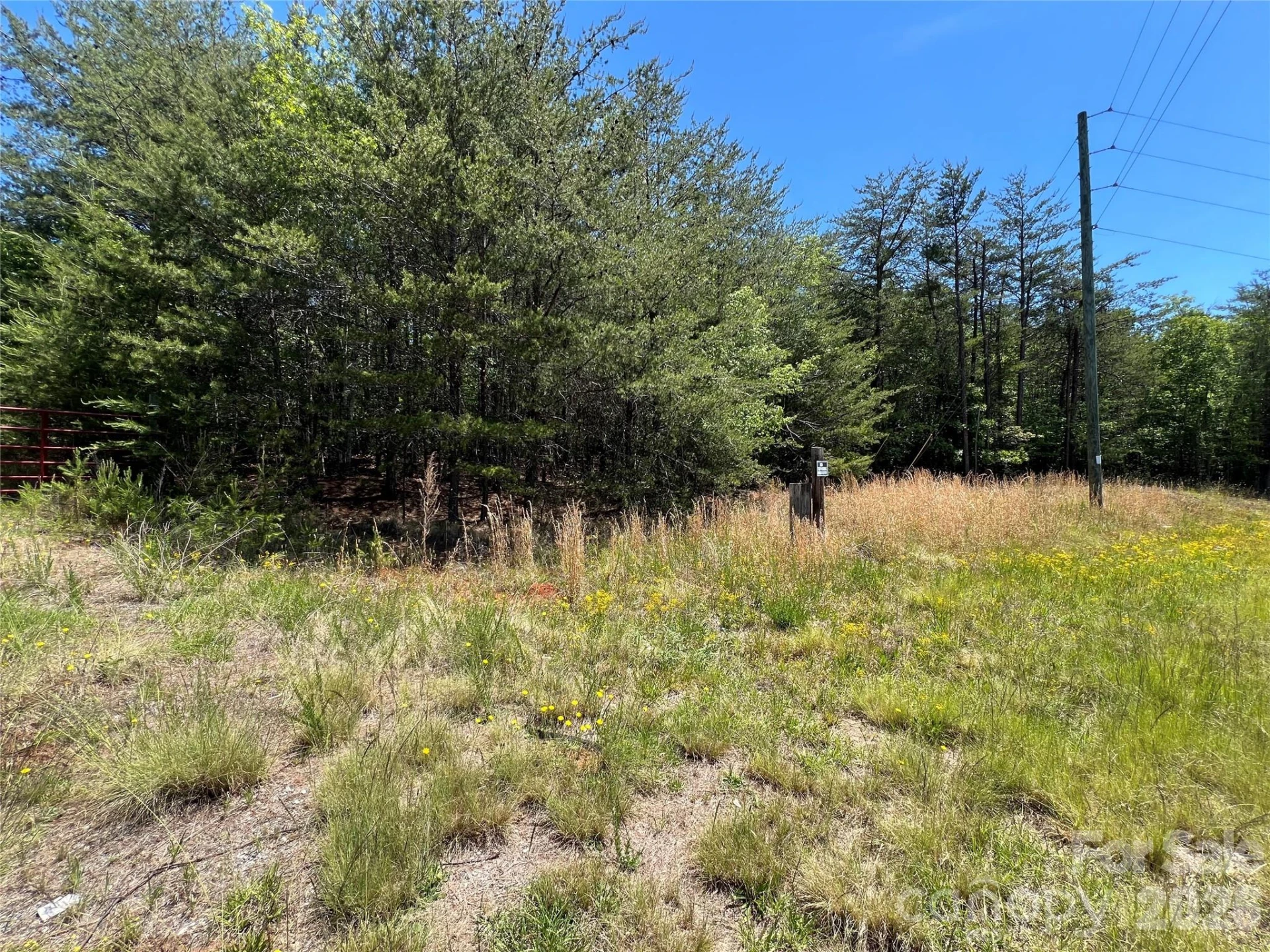 0 Luckadoo Mountain Road #177 - Photo 2