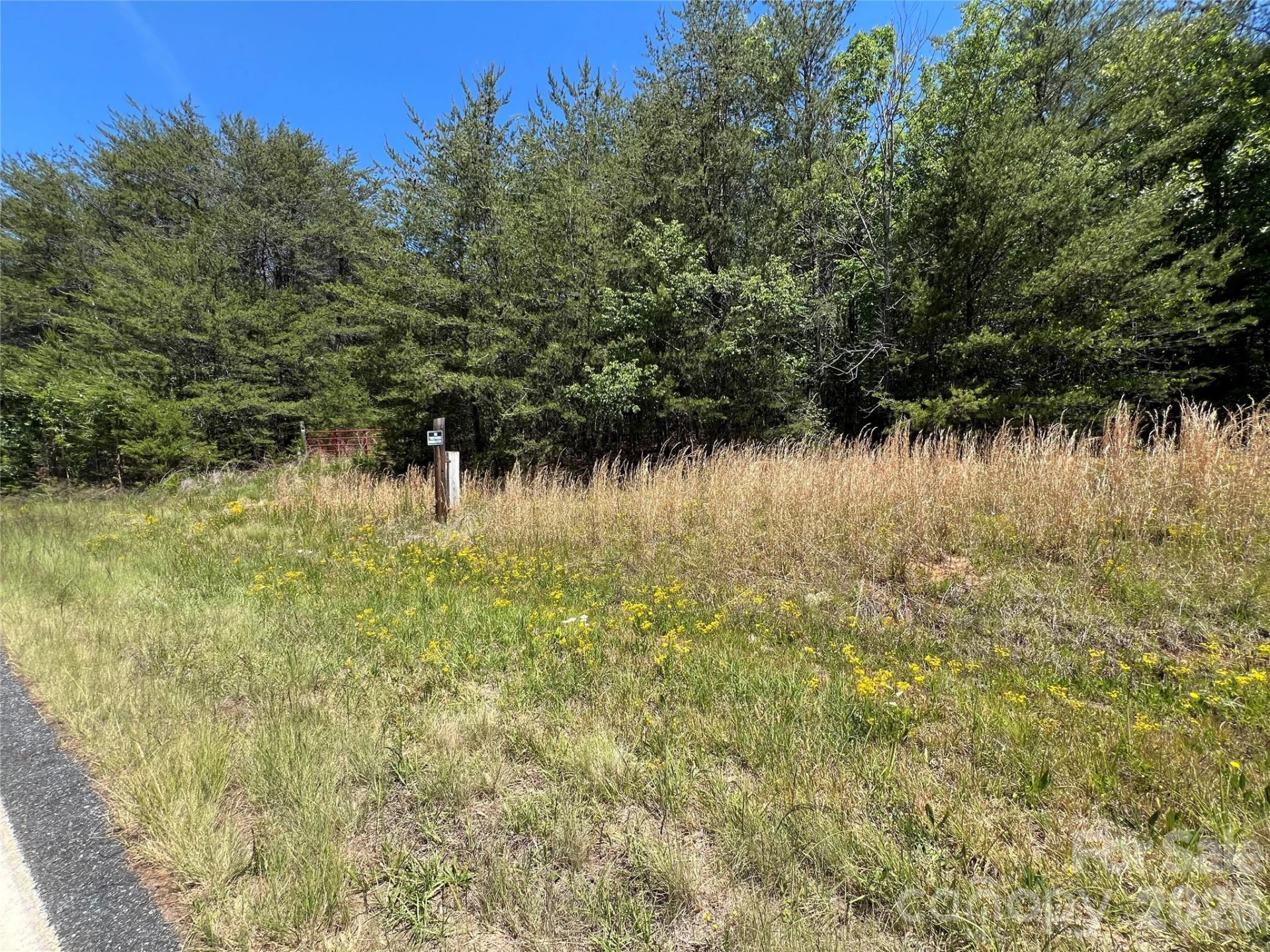 0 Luckadoo Mountain Road #177 - Photo 3