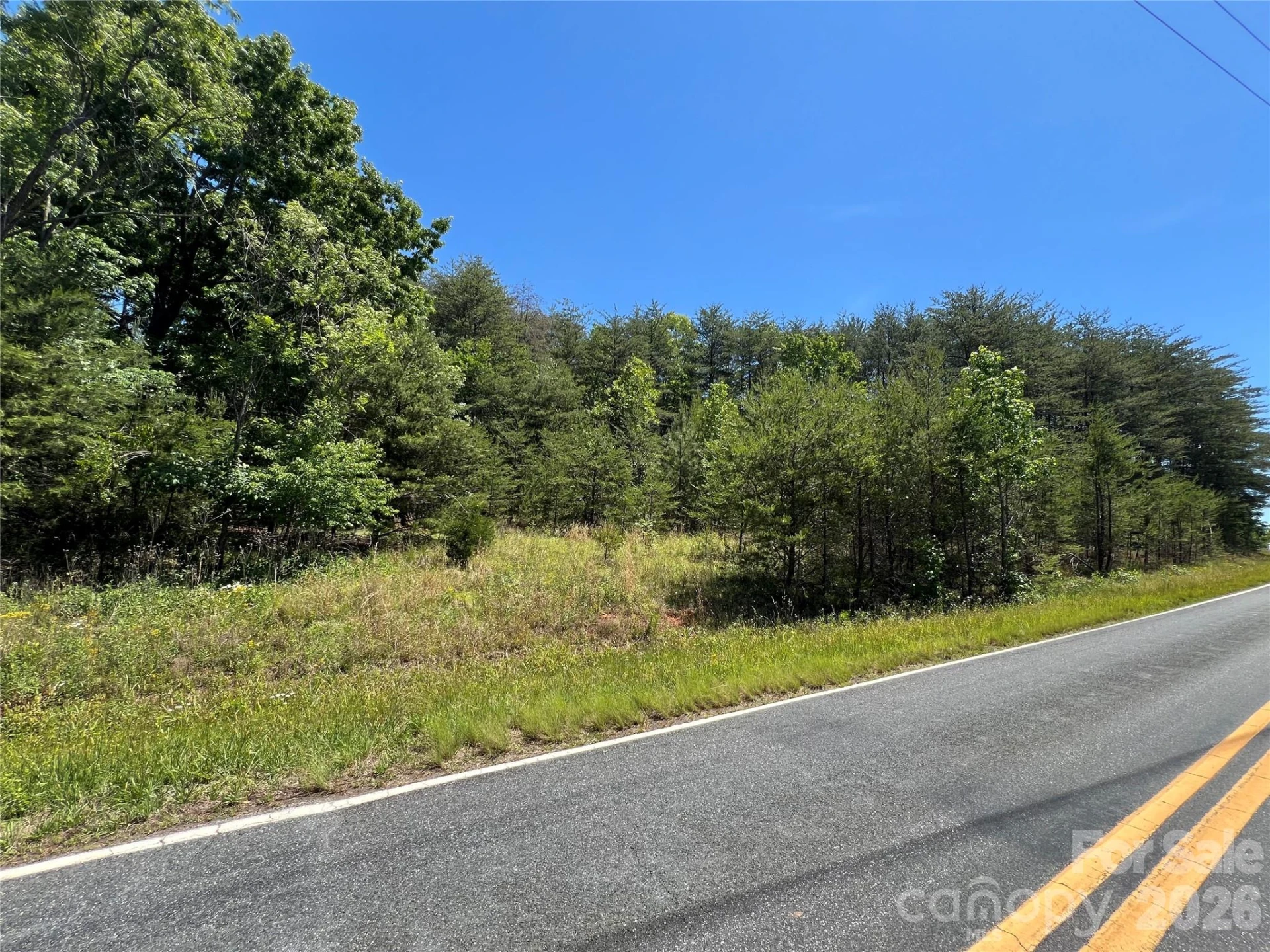 0 Luckadoo Mountain Road #177 - Photo 4