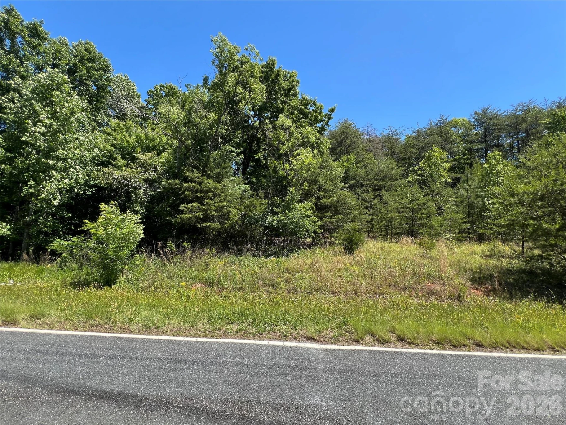 0 Luckadoo Mountain Road #177 - Photo 5