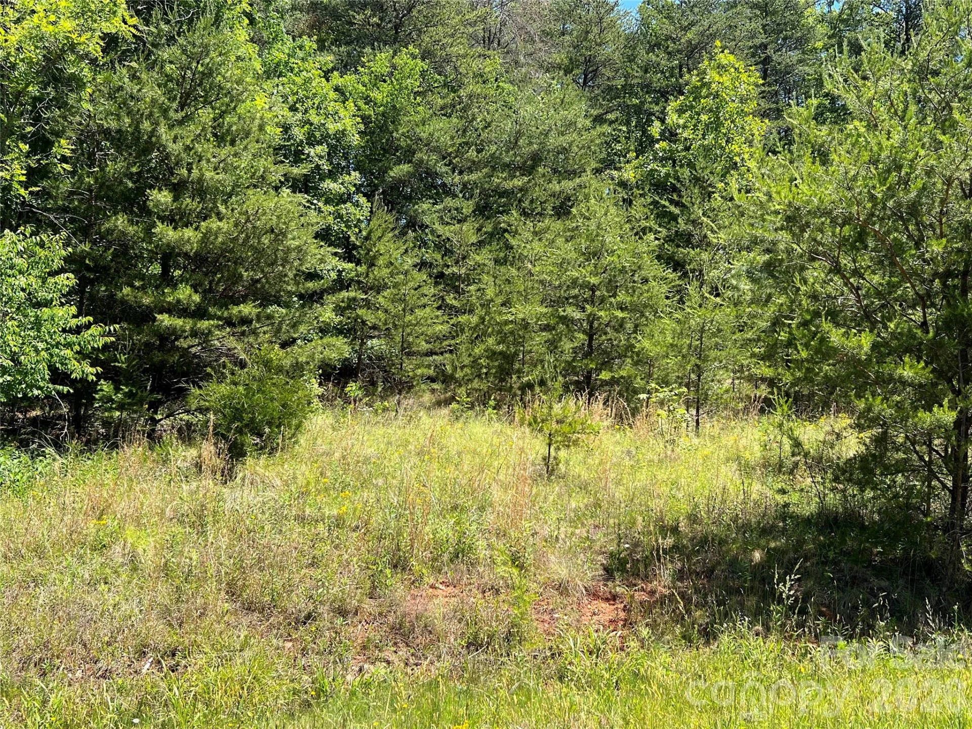 0 Luckadoo Mountain Road #177 - Photo 7