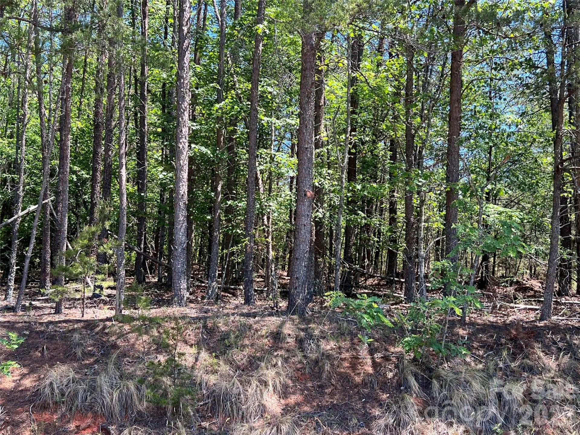 0 Luckadoo Mountain Road #177 - Photo 8