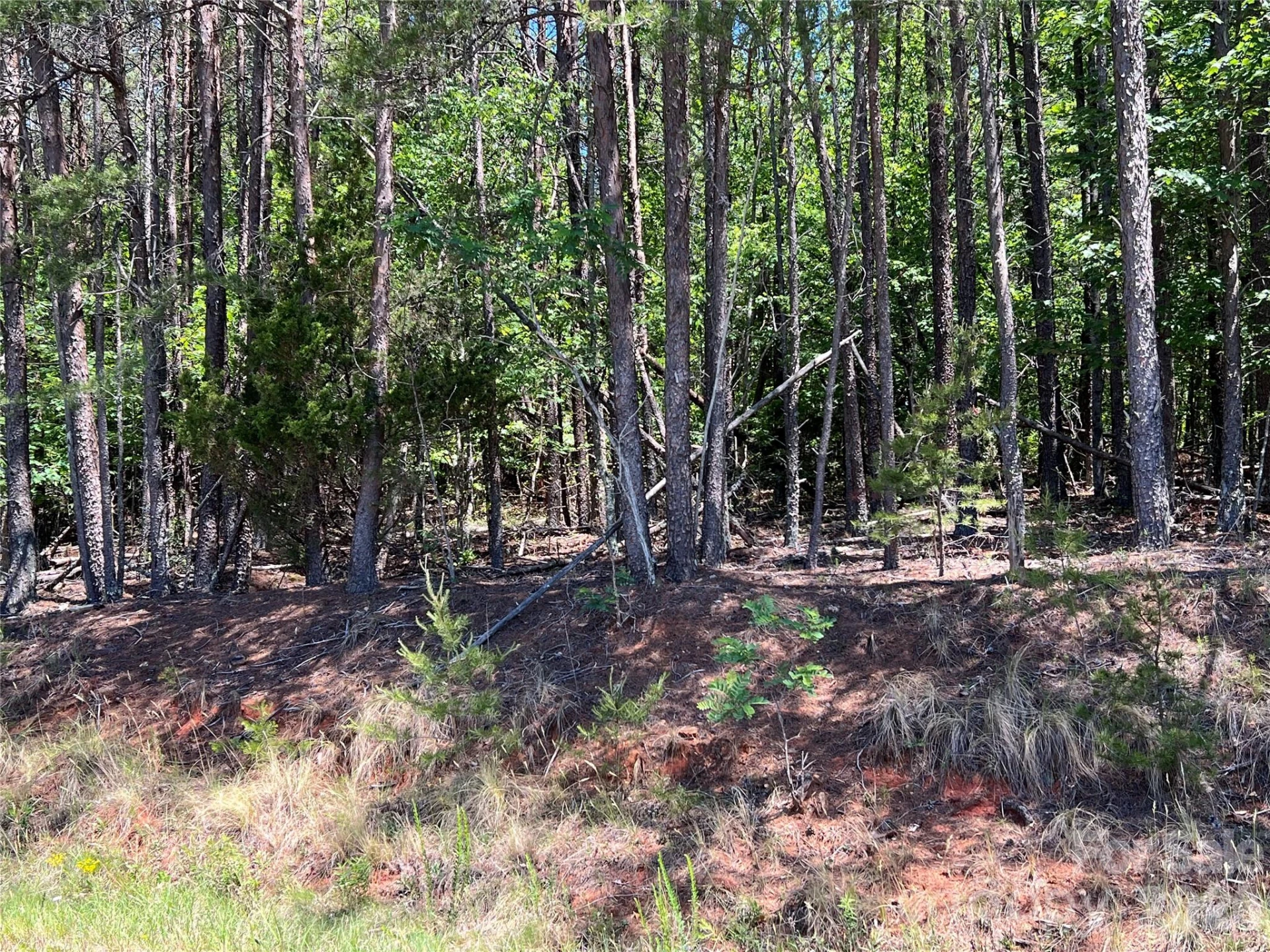 0 Luckadoo Mountain Road #177 - Photo 9