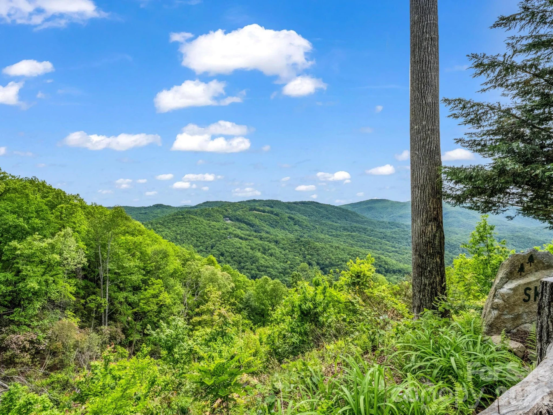 2053 Nancy Mountain Road - Photo 40