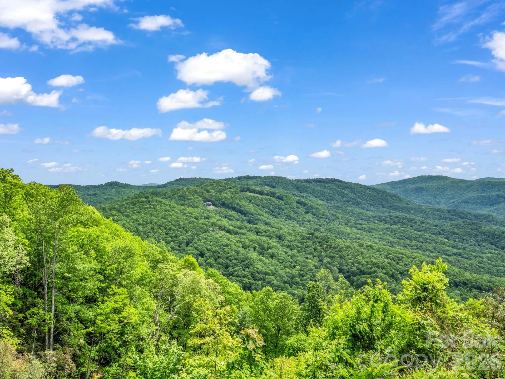 2053 Nancy Mountain Road - Photo 41