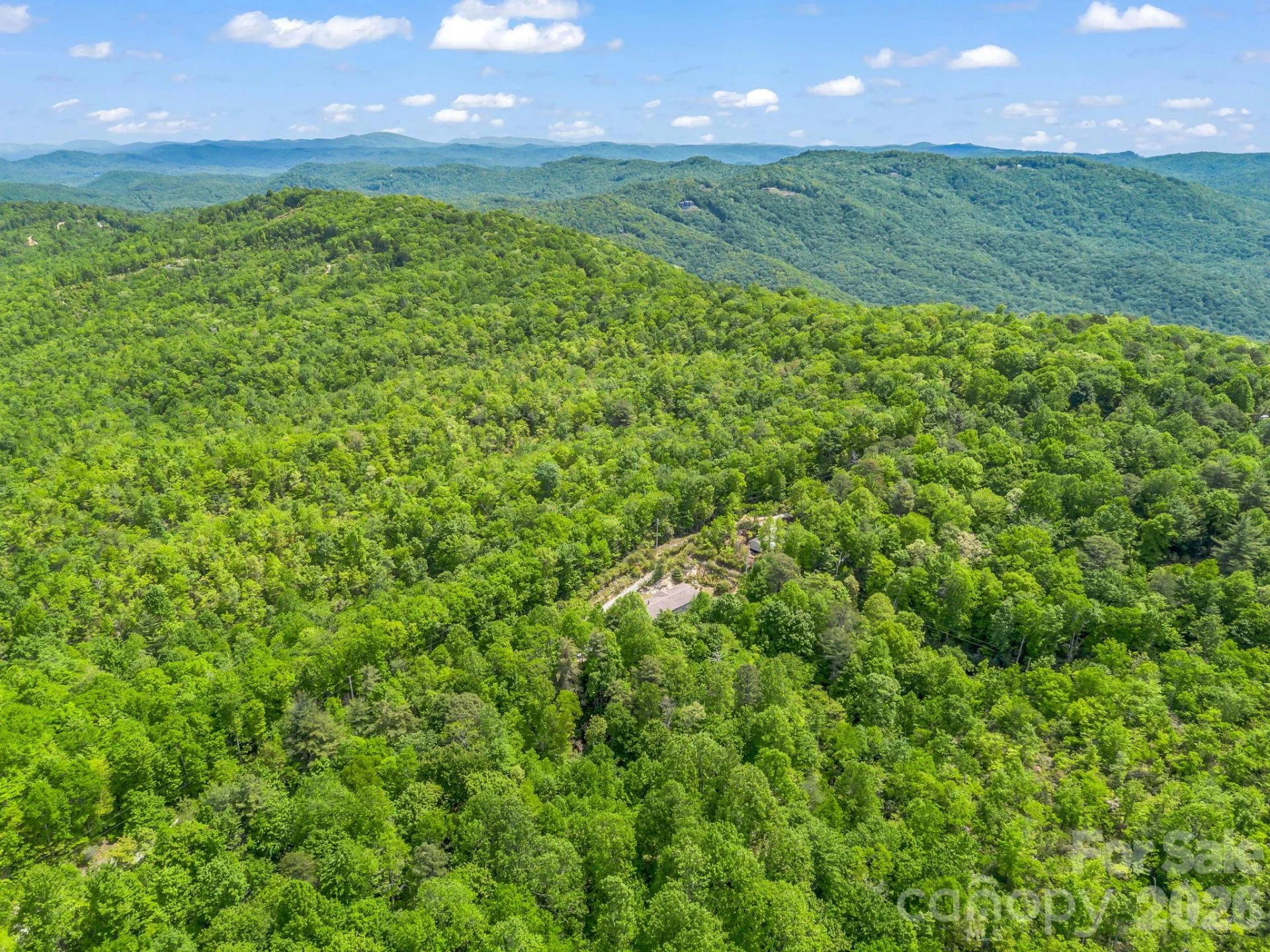 2053 Nancy Mountain Road - Photo 46