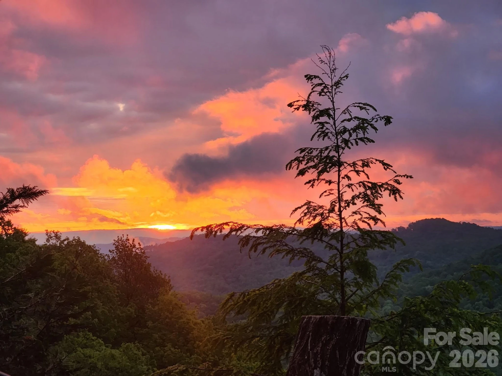 2053 Nancy Mountain Road - Photo 47