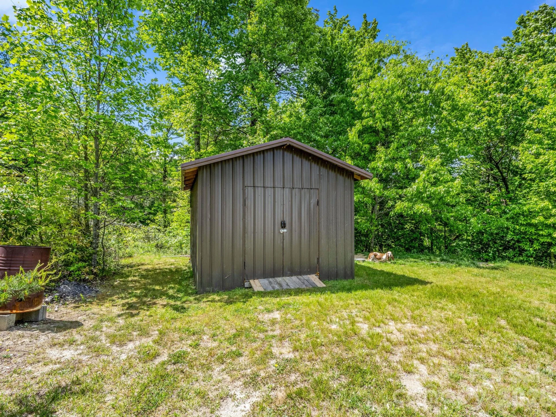 2053 Nancy Mountain Road - Photo 10