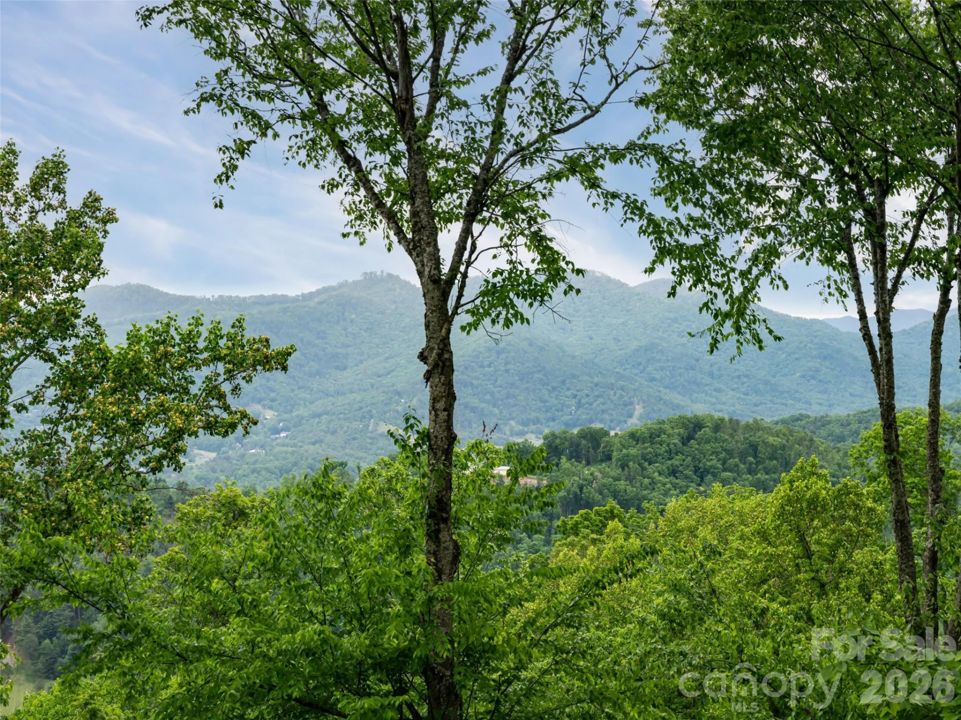 29 Elk Ridge Drive - Photo 10