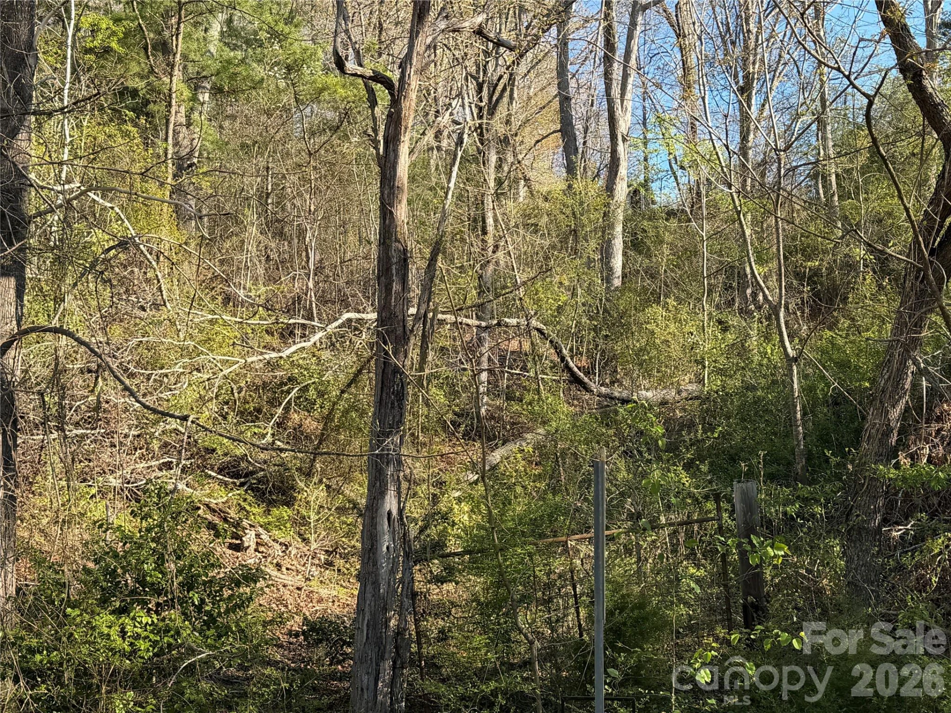 219 Bee Ridge Road - Photo 2