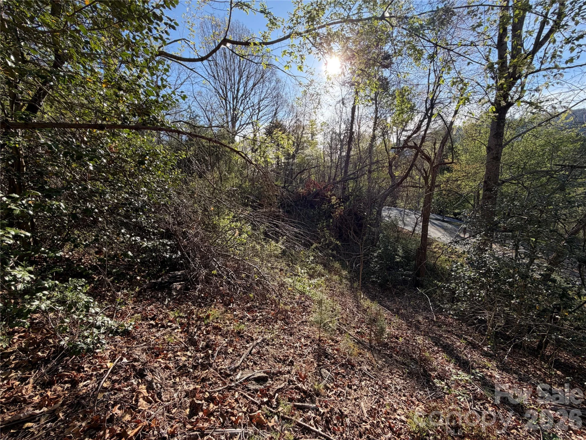 219 Bee Ridge Road - Photo 4