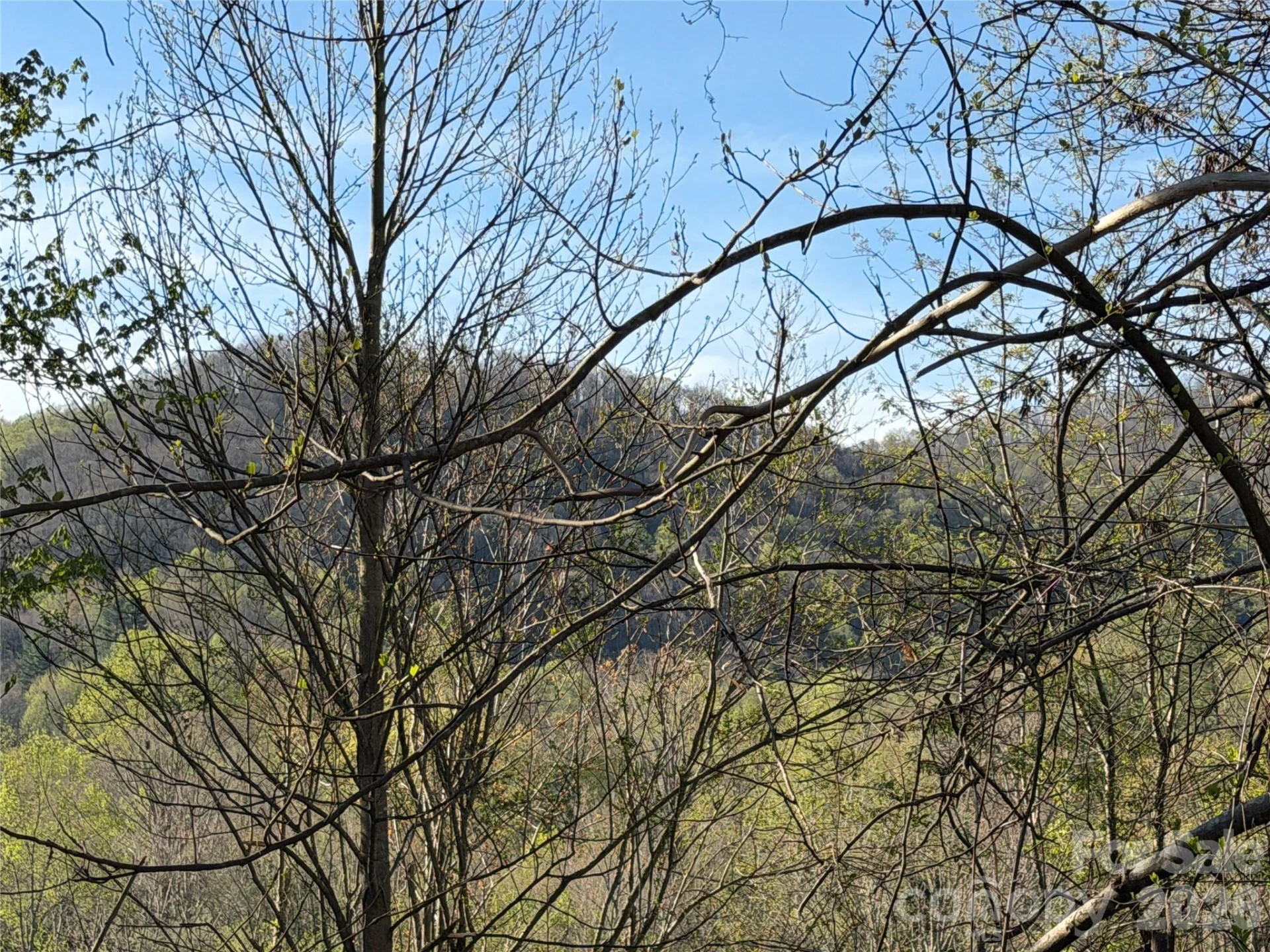 219 Bee Ridge Road - Photo 5