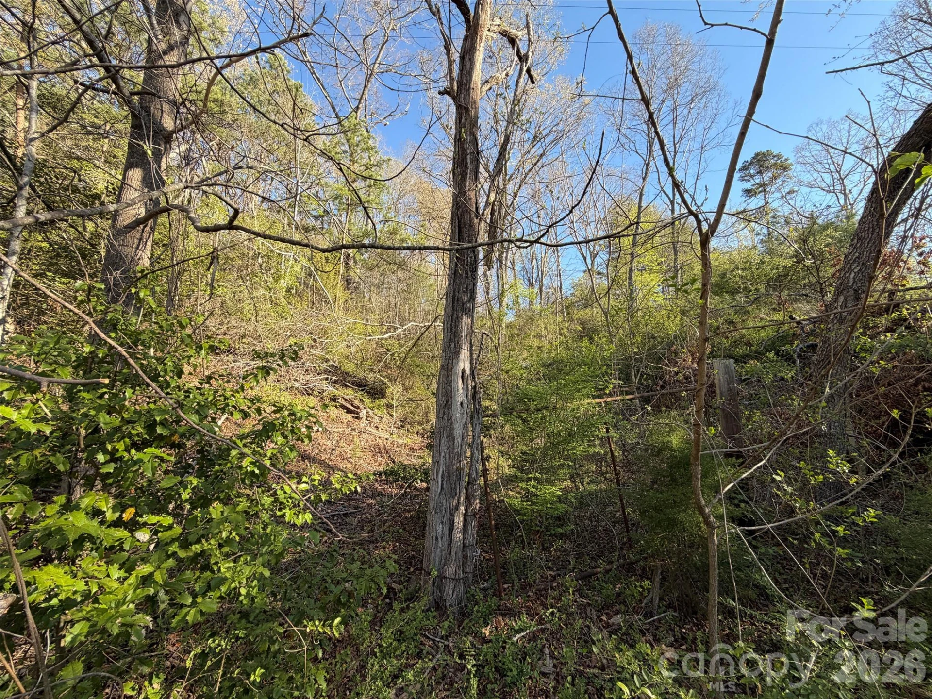 219 Bee Ridge Road - Photo 7