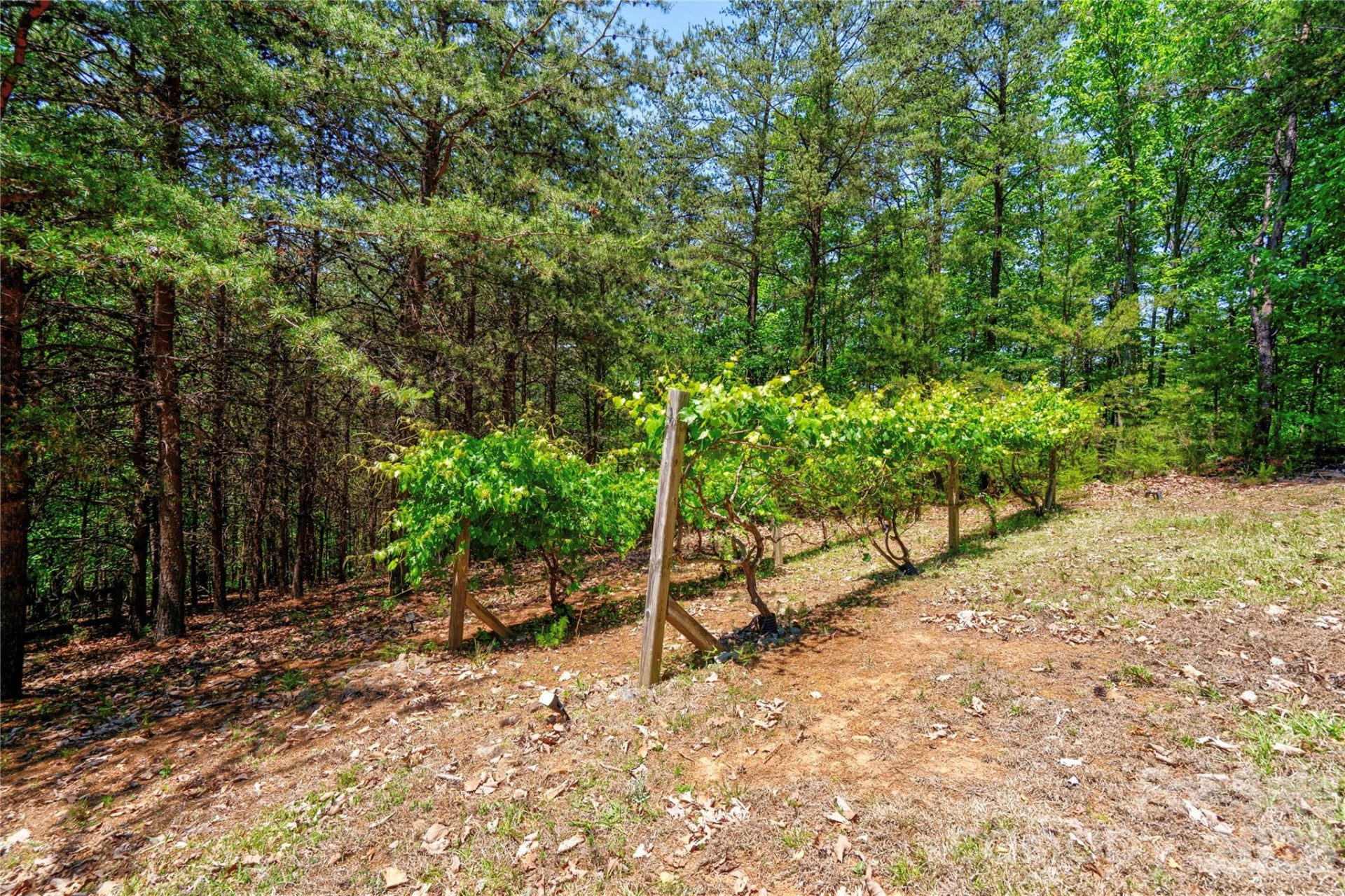 389 Woodgate Drive - Photo 14