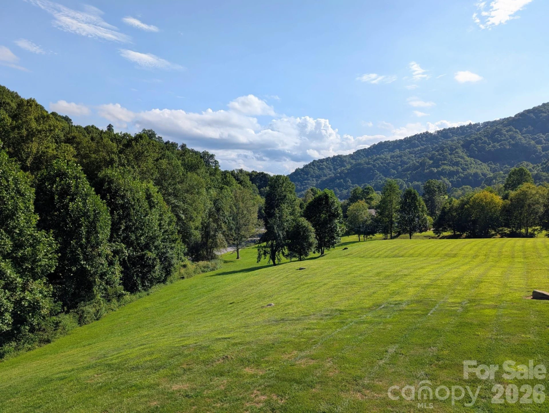 96 Buckeye Branch Drive - Photo 44