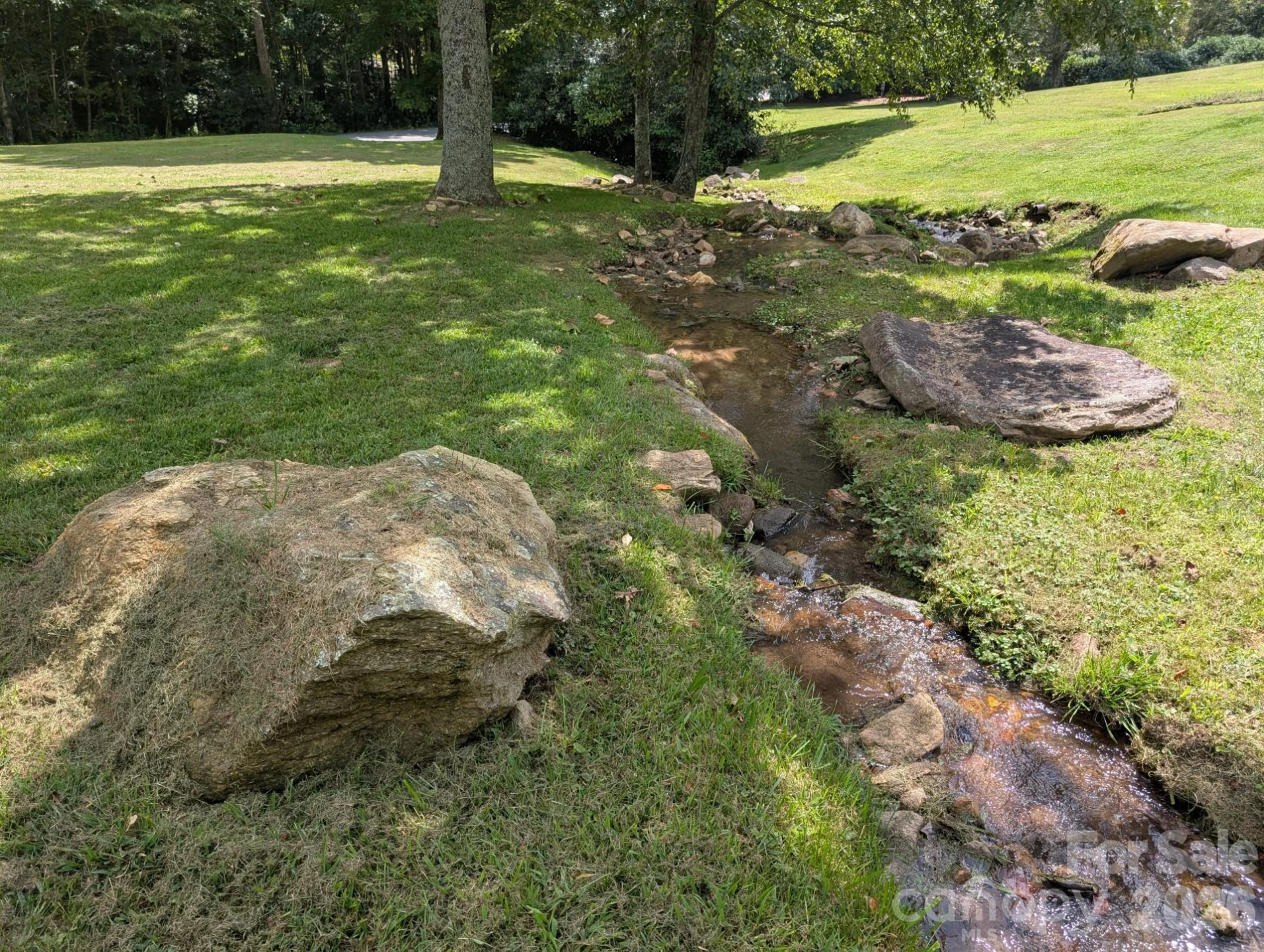 96 Buckeye Branch Drive - Photo 46