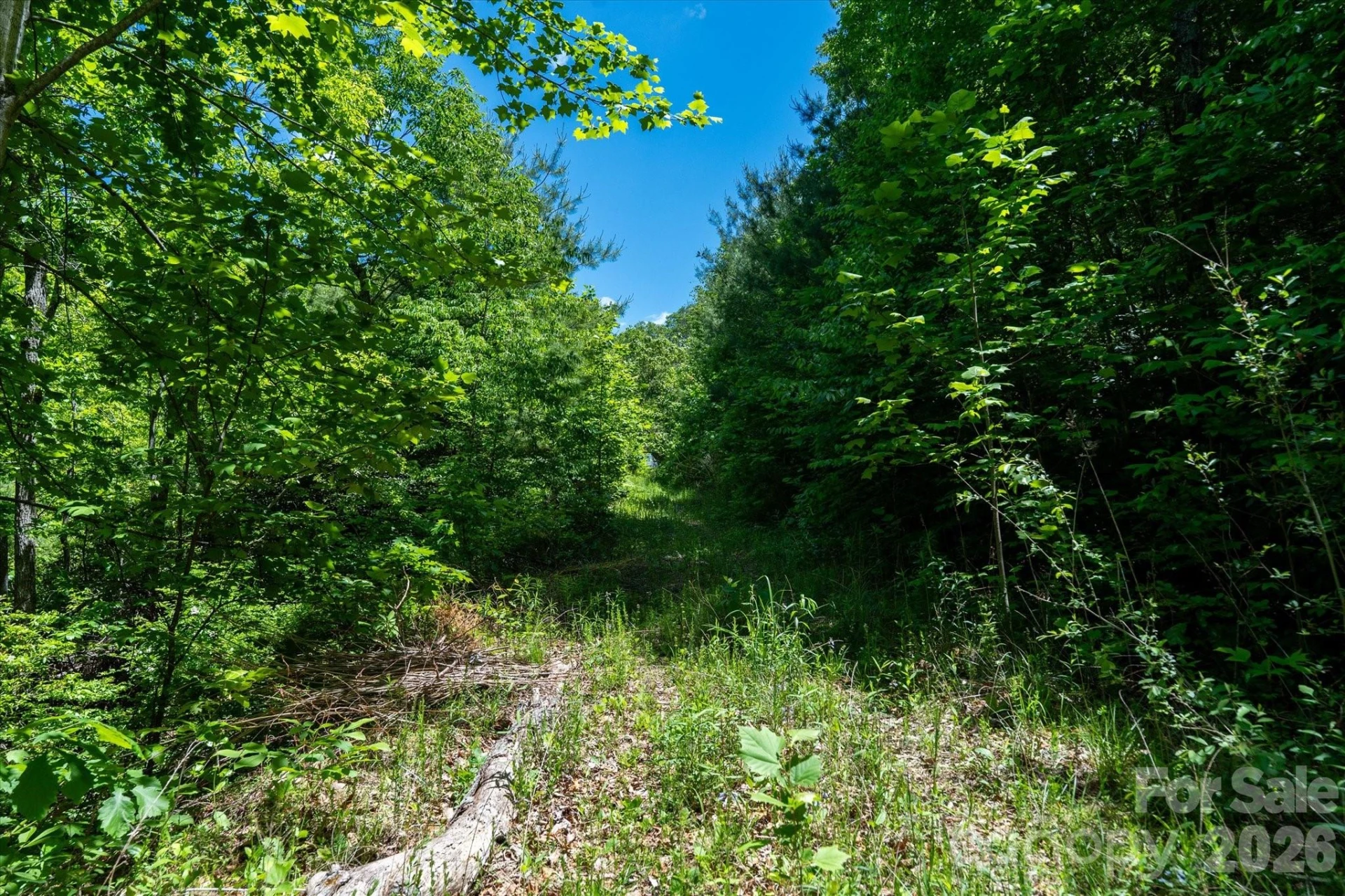 99999 Winding Ridge Road - Photo 11
