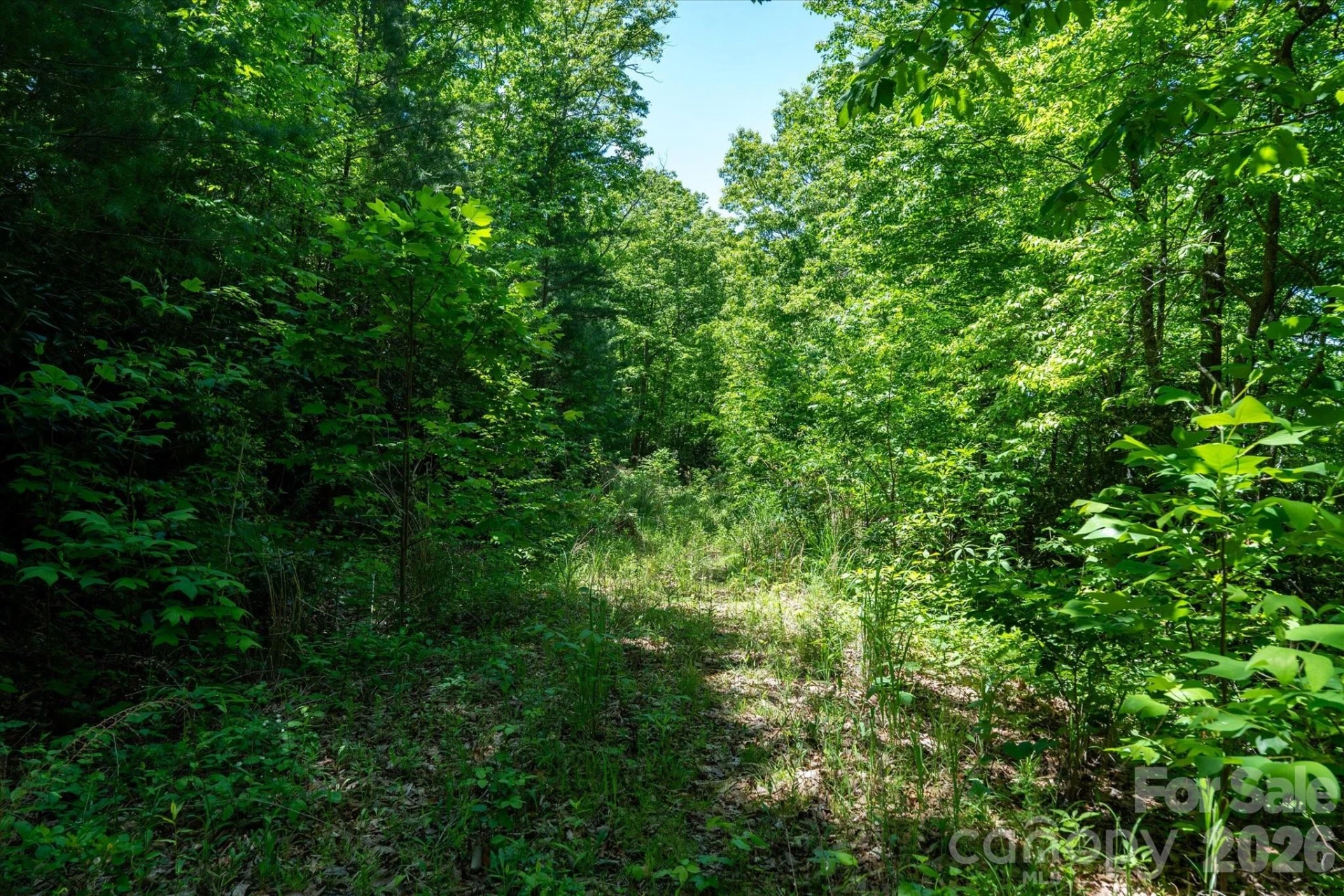 99999 Winding Ridge Road - Photo 12
