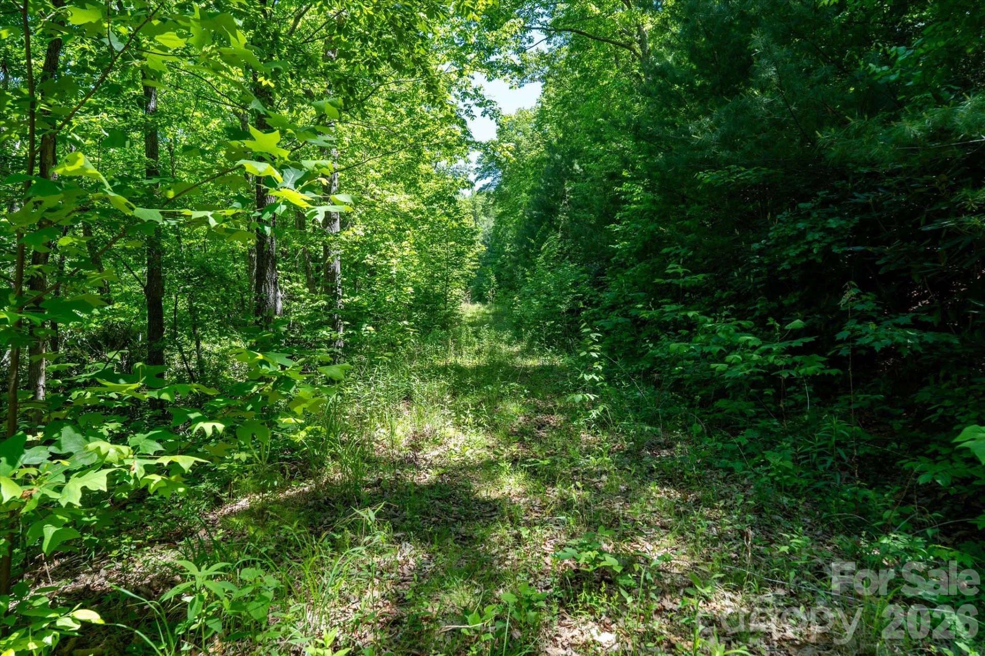 99999 Winding Ridge Road - Photo 13