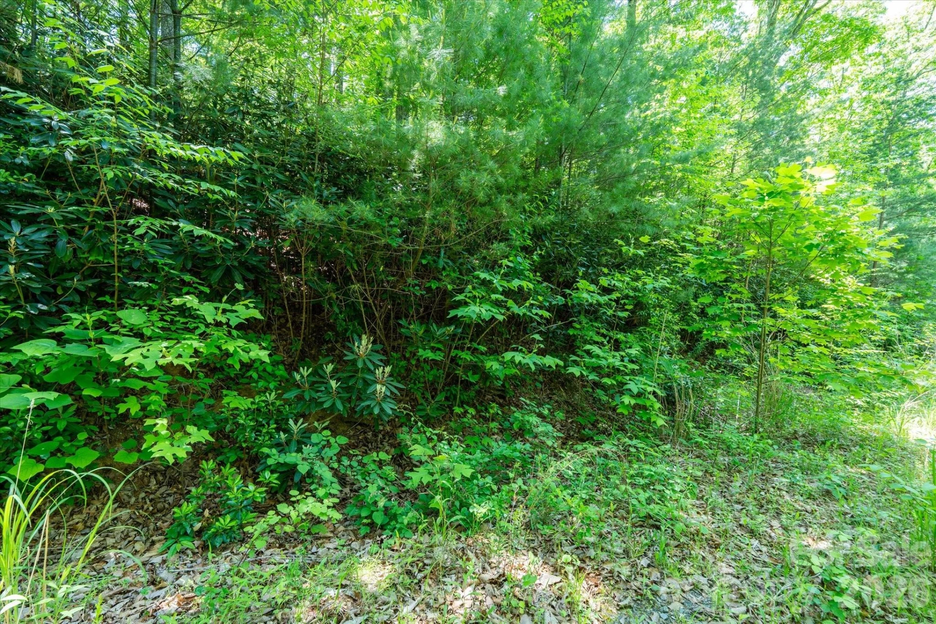 99999 Winding Ridge Road - Photo 14