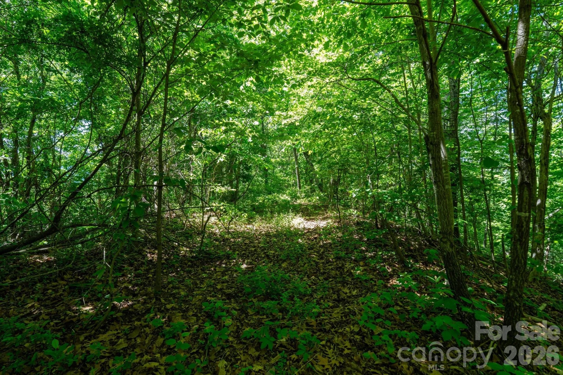 99999 Winding Ridge Road - Photo 15