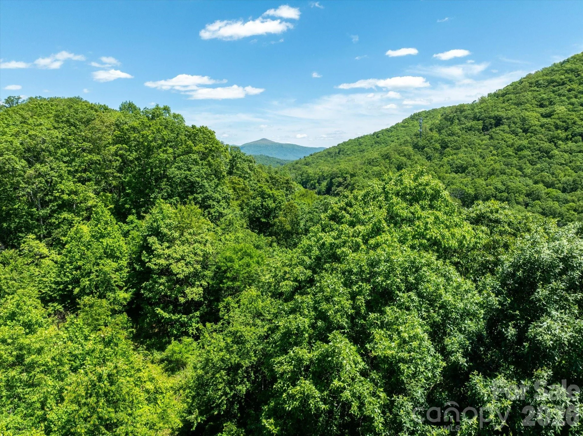 99999 Winding Ridge Road - Photo 3