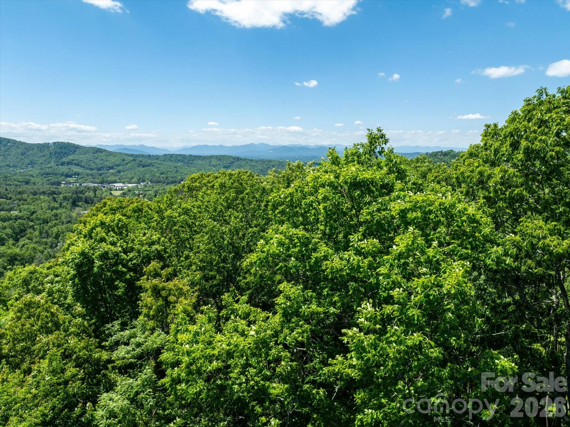 99999 Winding Ridge Road - Photo 4
