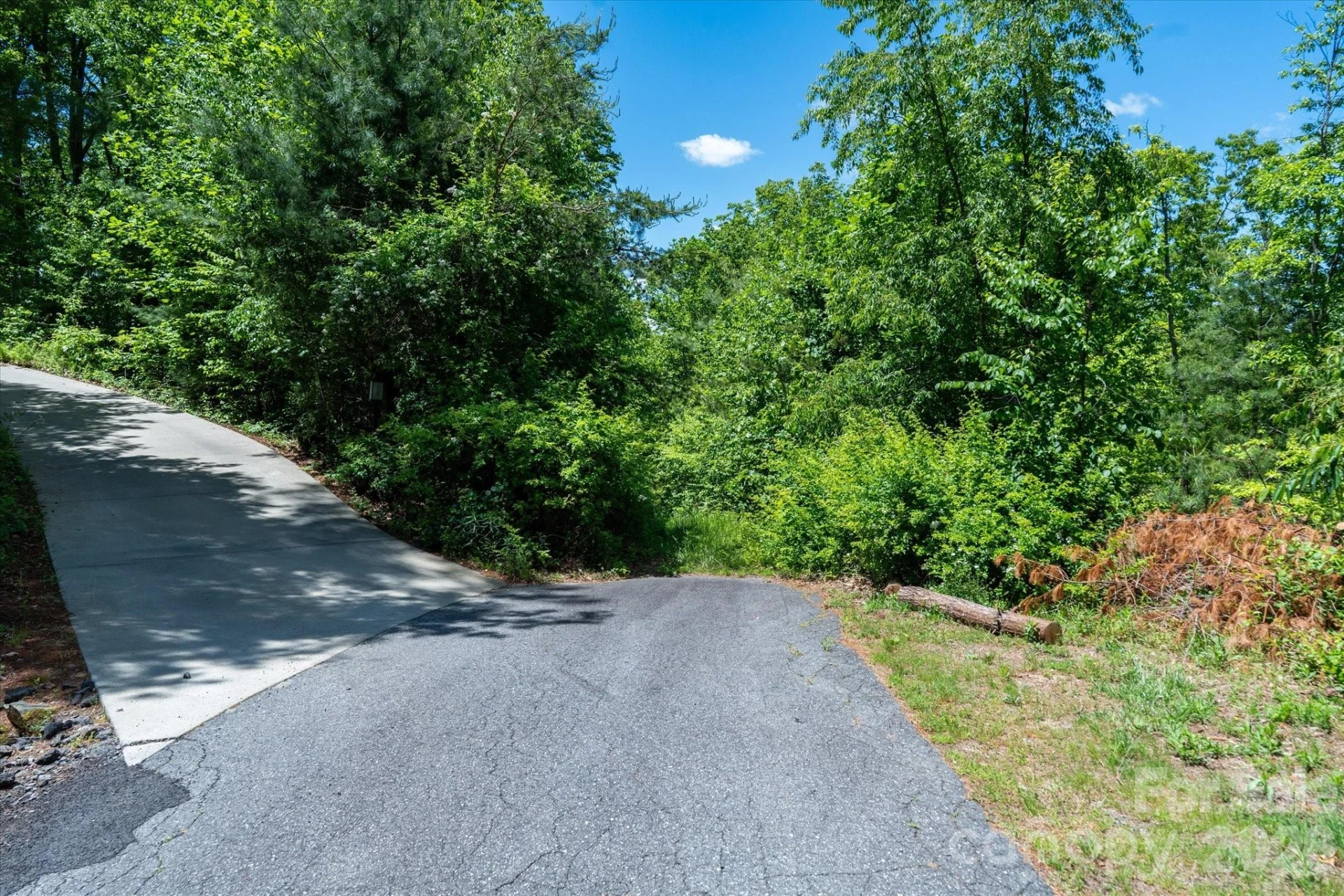 99999 Winding Ridge Road - Photo 9