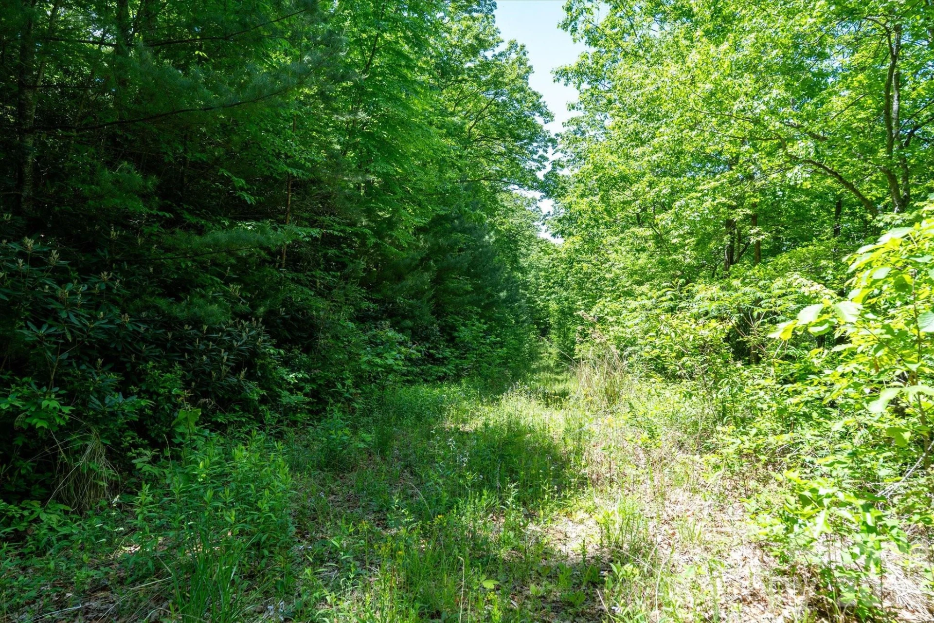 99999 Winding Ridge Road - Photo 10