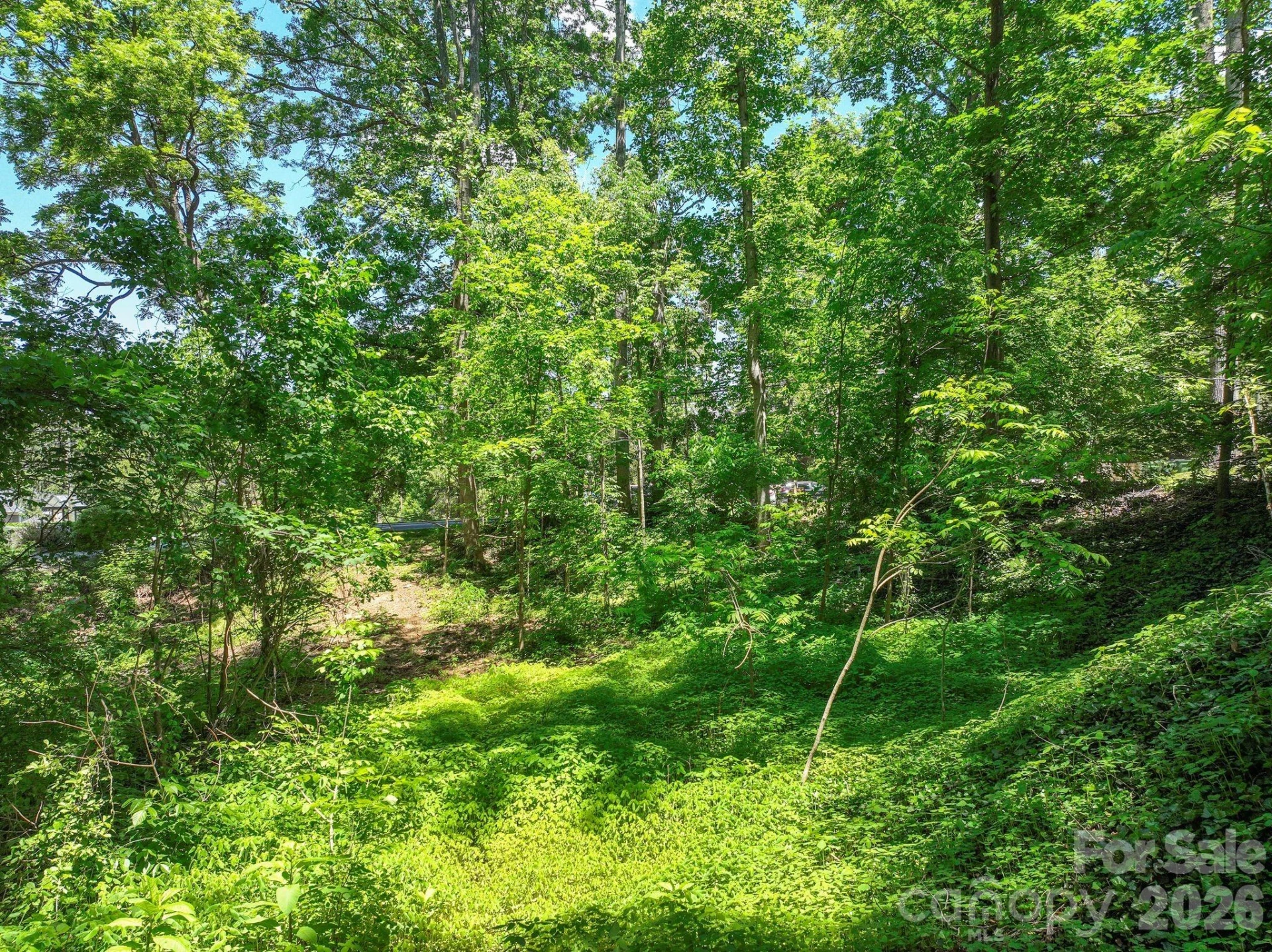 99999 Montford Avenue - Photo 2