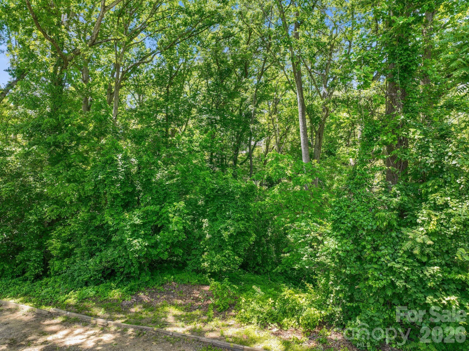 99999 Montford Avenue - Photo 12
