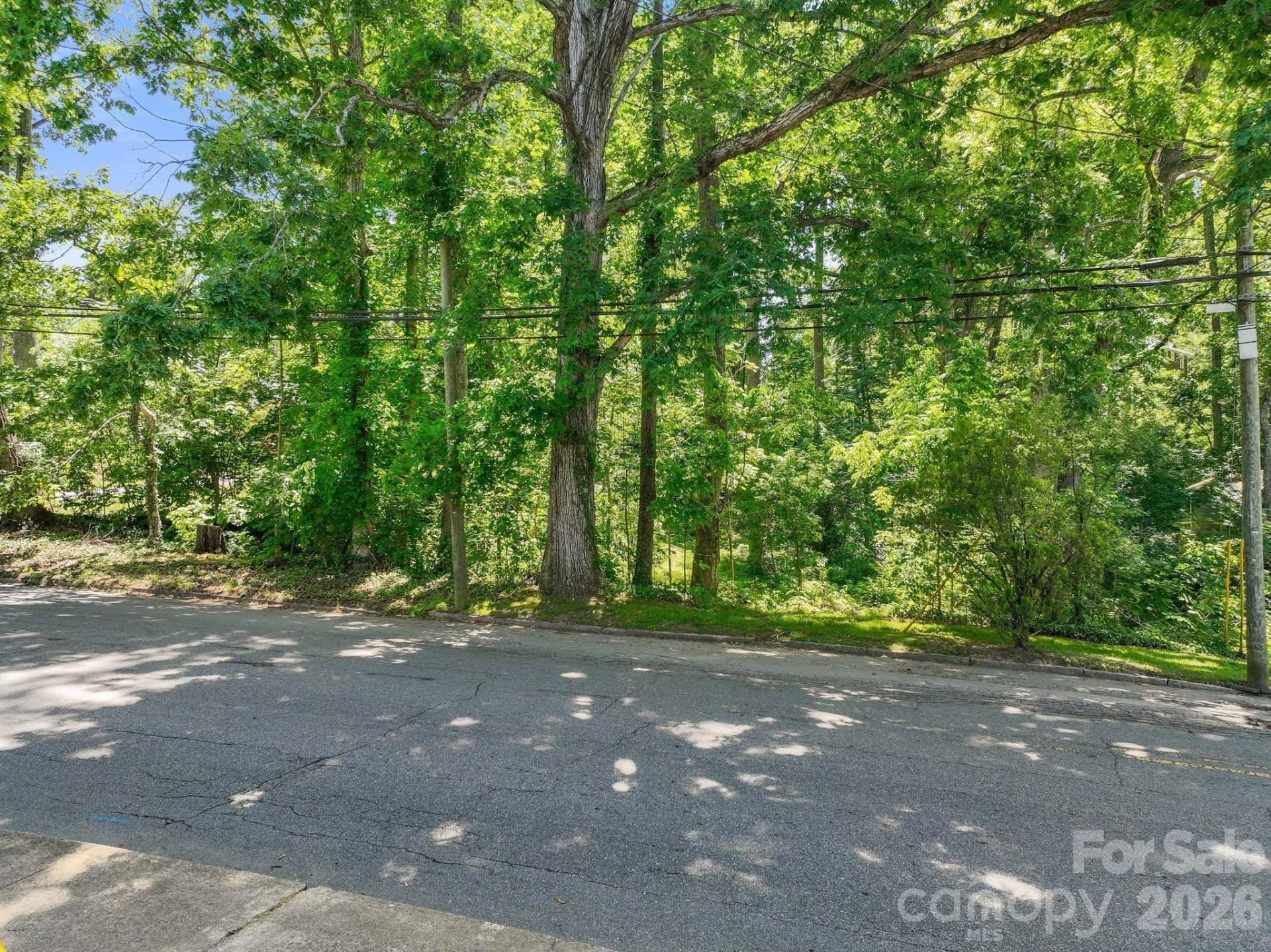 99999 Montford Avenue - Photo 15