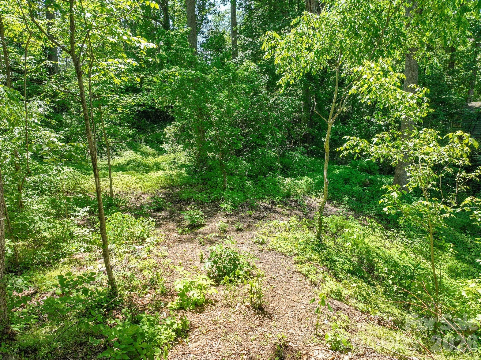 99999 Montford Avenue - Photo 3