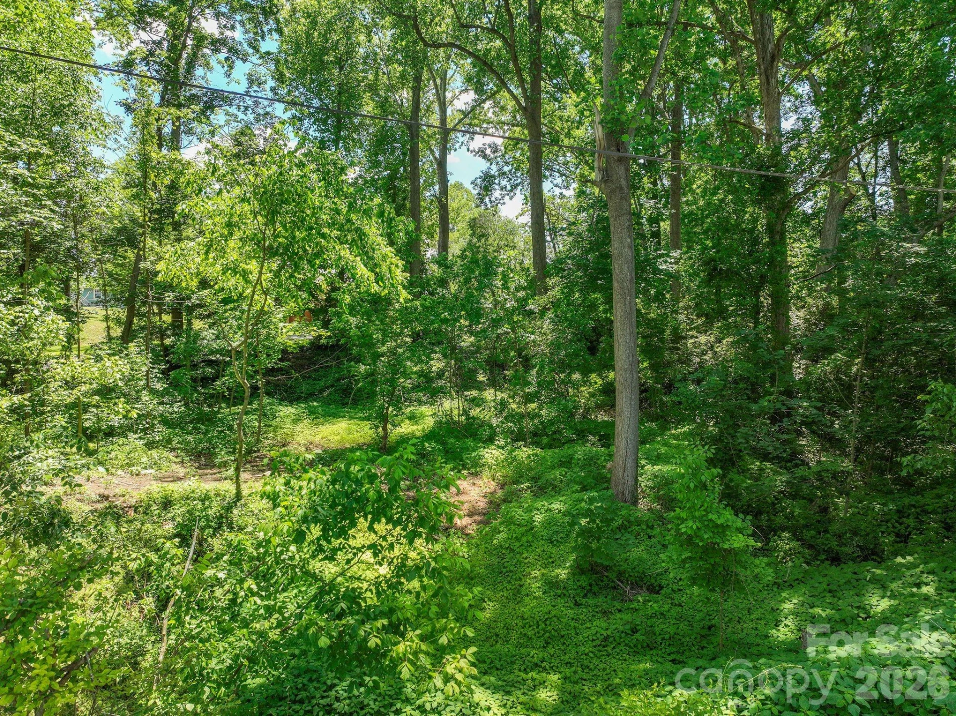 99999 Montford Avenue - Photo 4