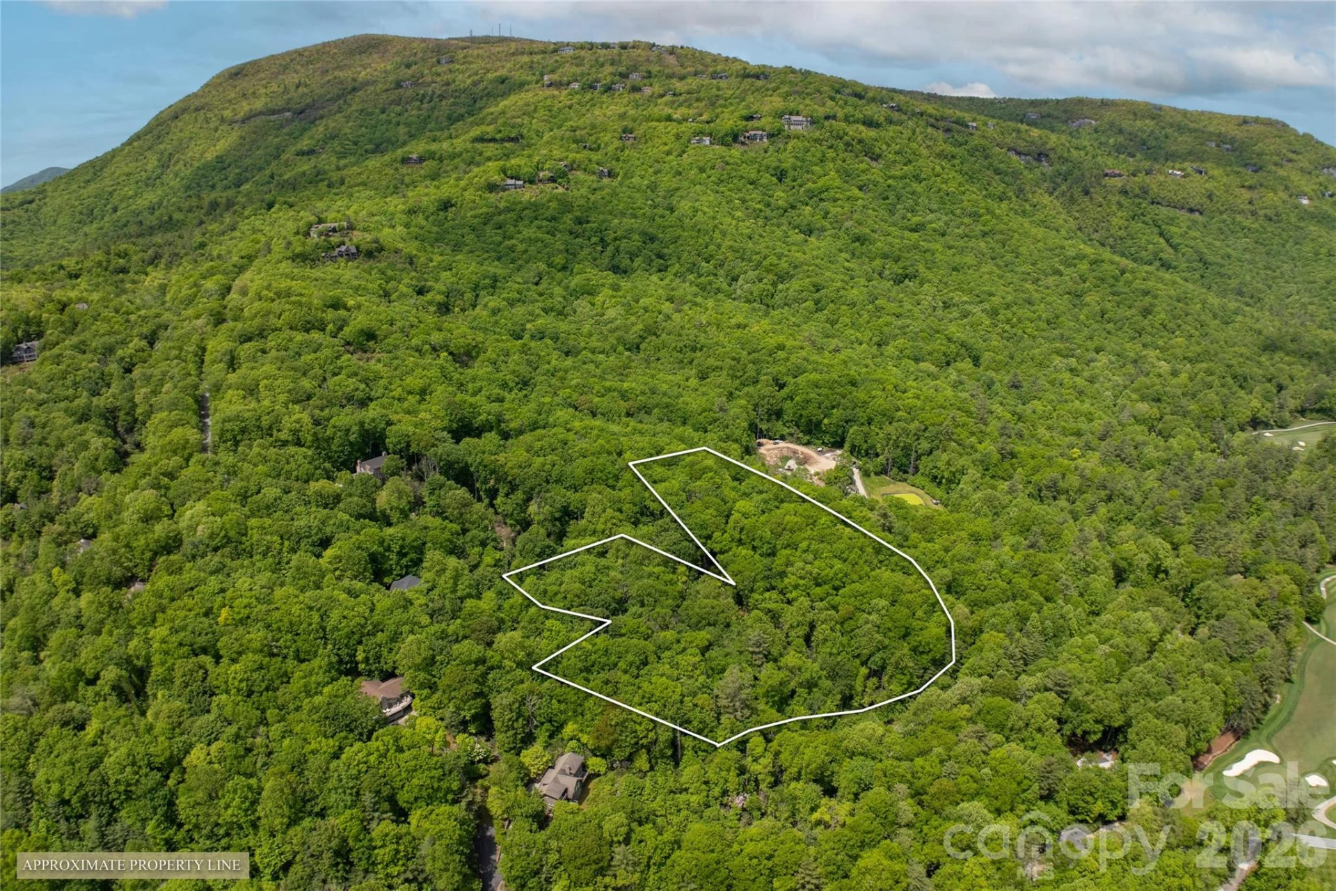 TM 1R Toxaway Drive - Photo 2