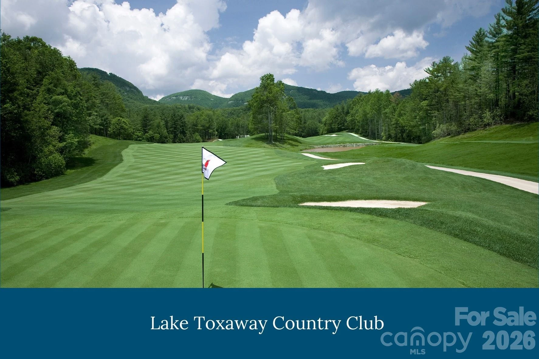 TM 1R Toxaway Drive - Photo 6