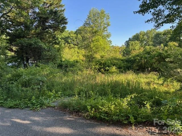 202 Dundee Street - Photo 2
