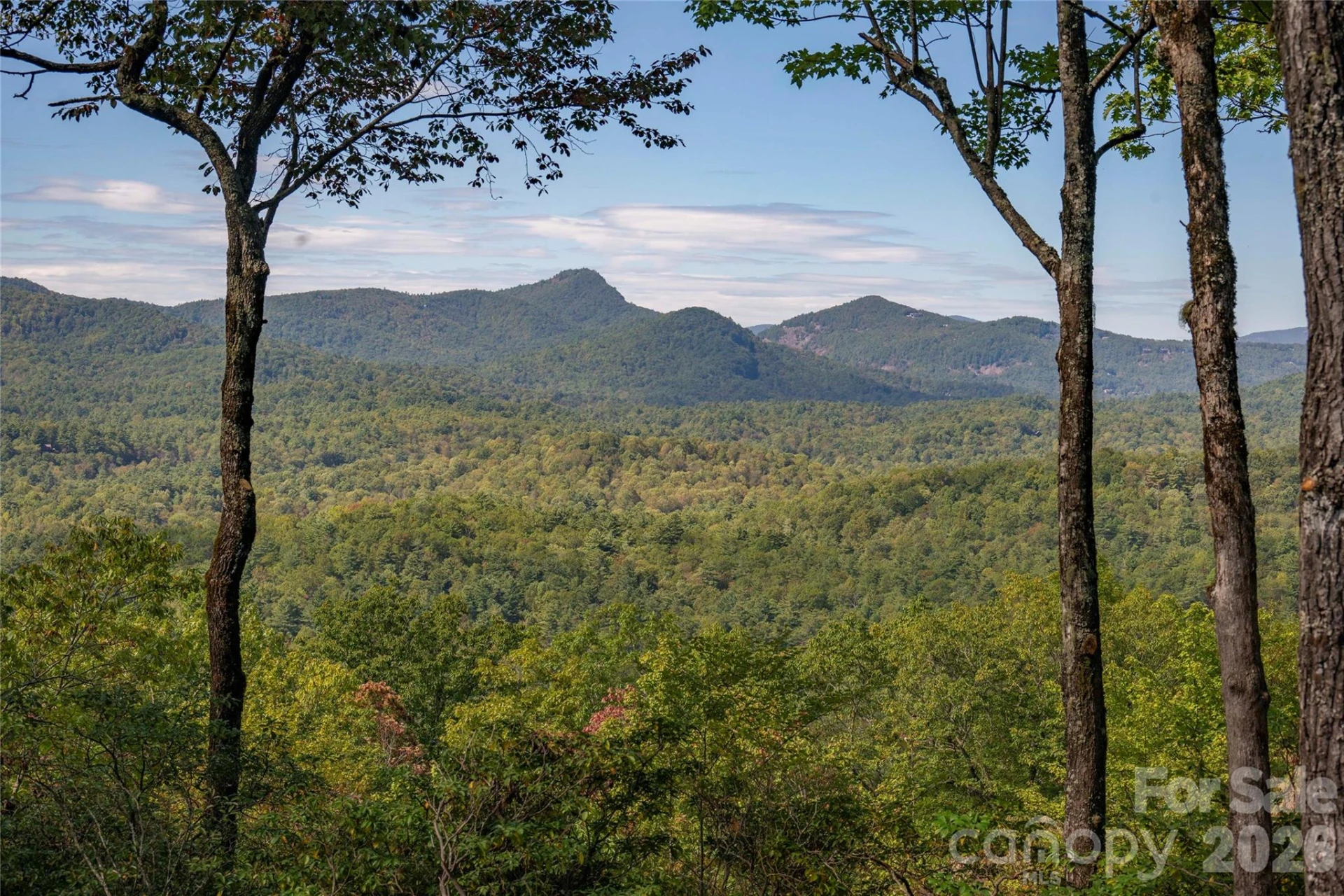 519 Eagle Drive - Photo 20