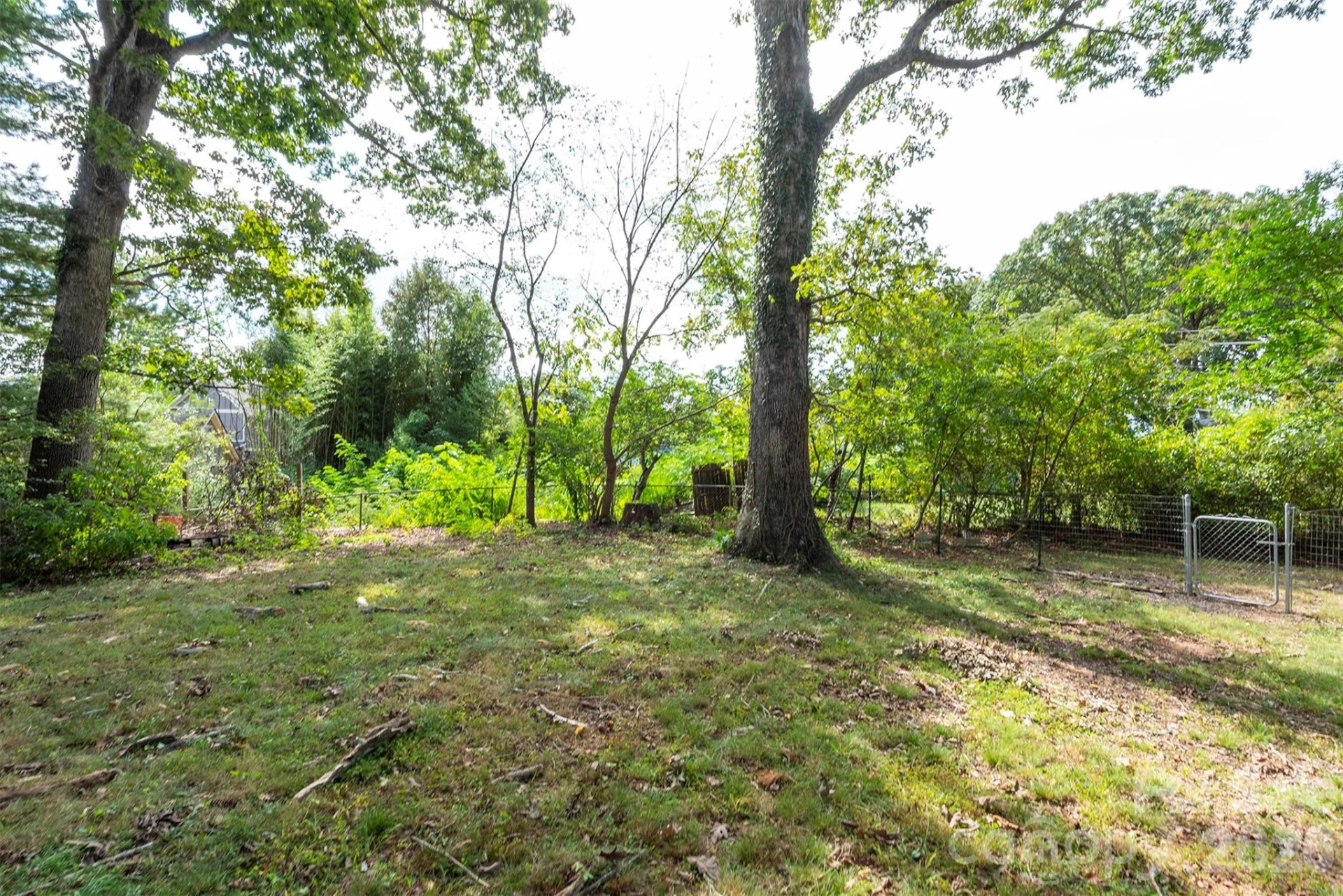 17 Springdale Avenue - Photo 41