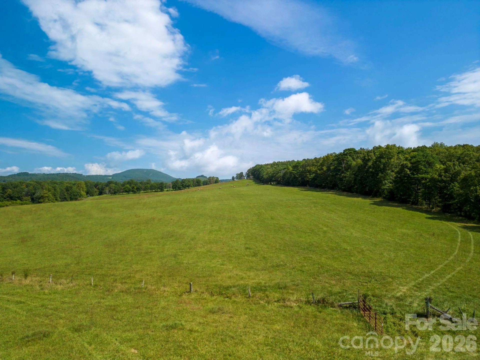 TBD Summer Road #2 - Photo 3