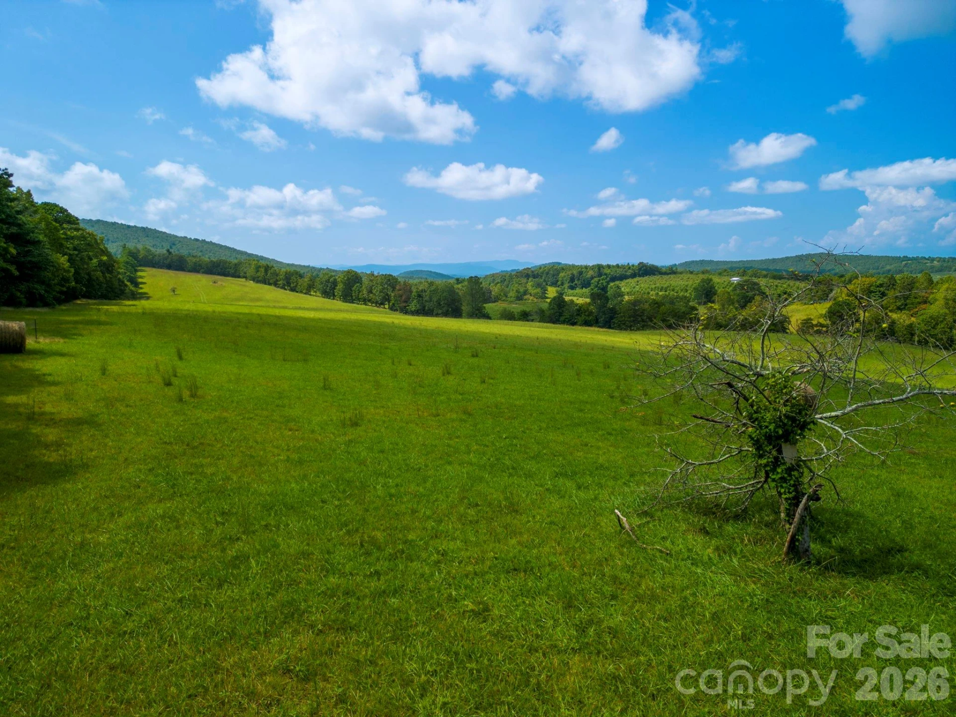 TBD Summer Road #2 - Photo 24