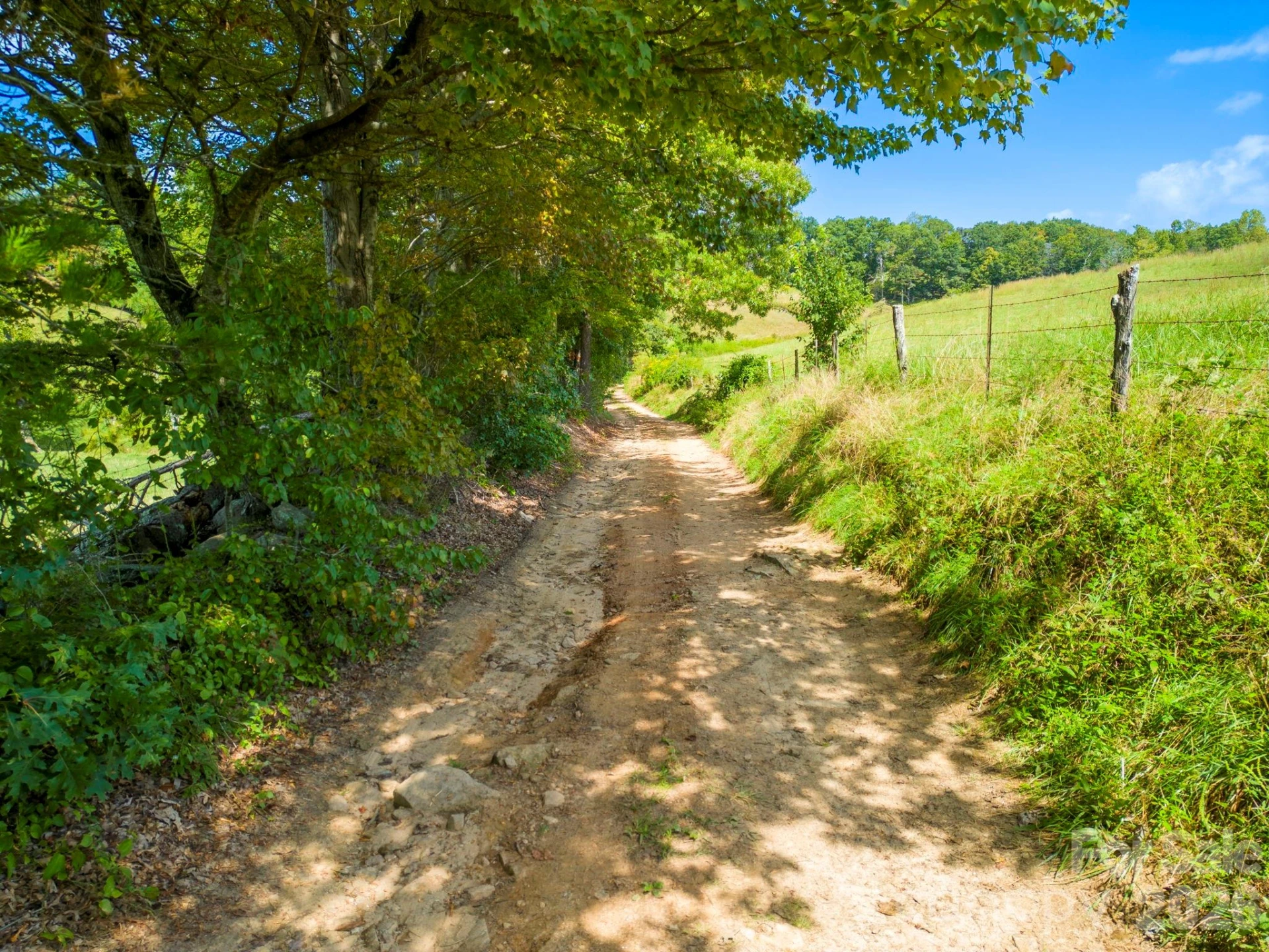 TBD Summer Road #2 - Photo 26