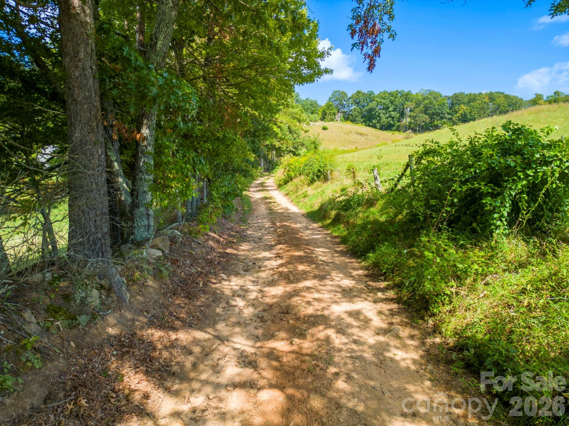 TBD Summer Road #2 - Photo 27