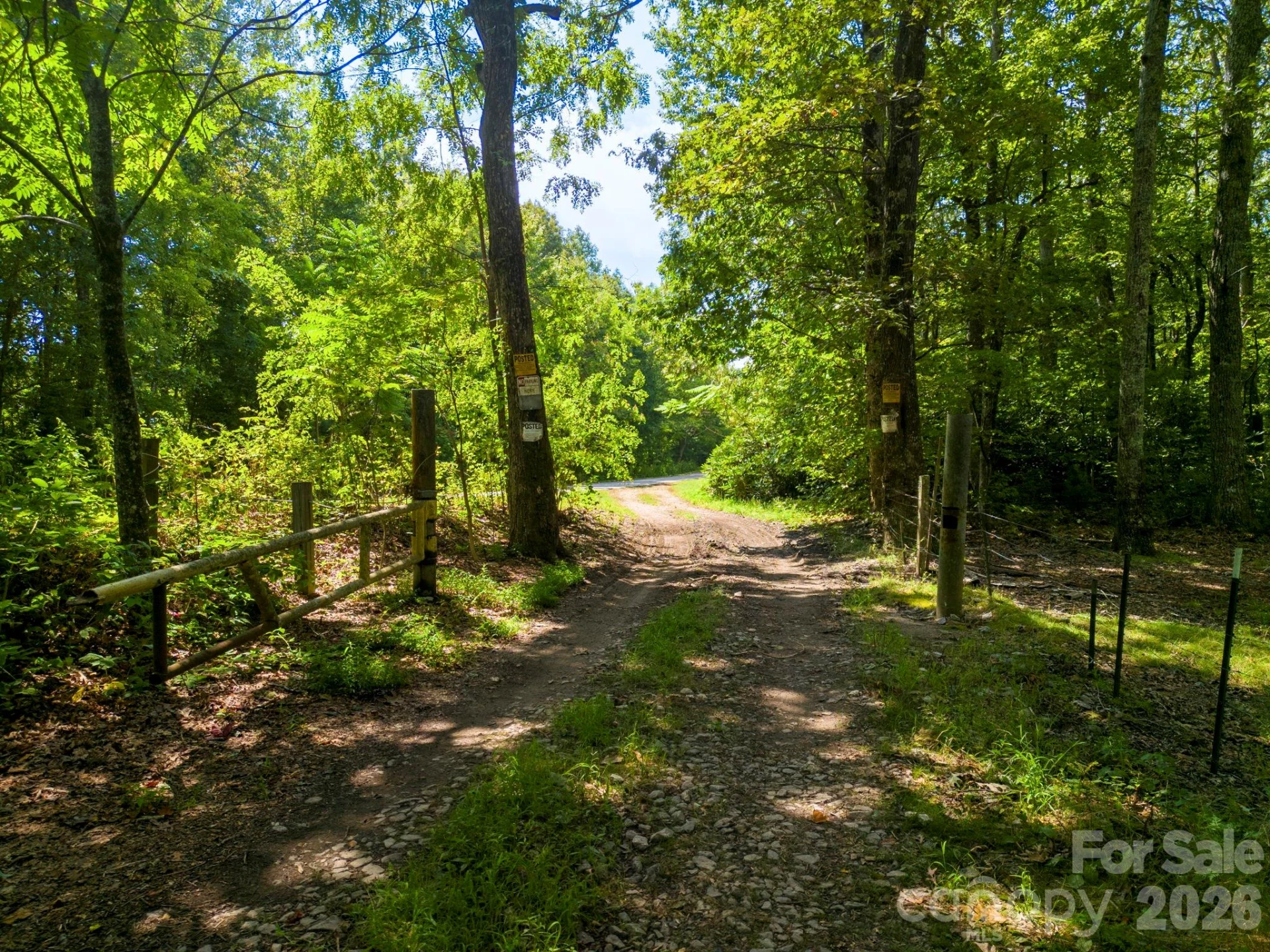 TBD Summer Road #2 - Photo 29