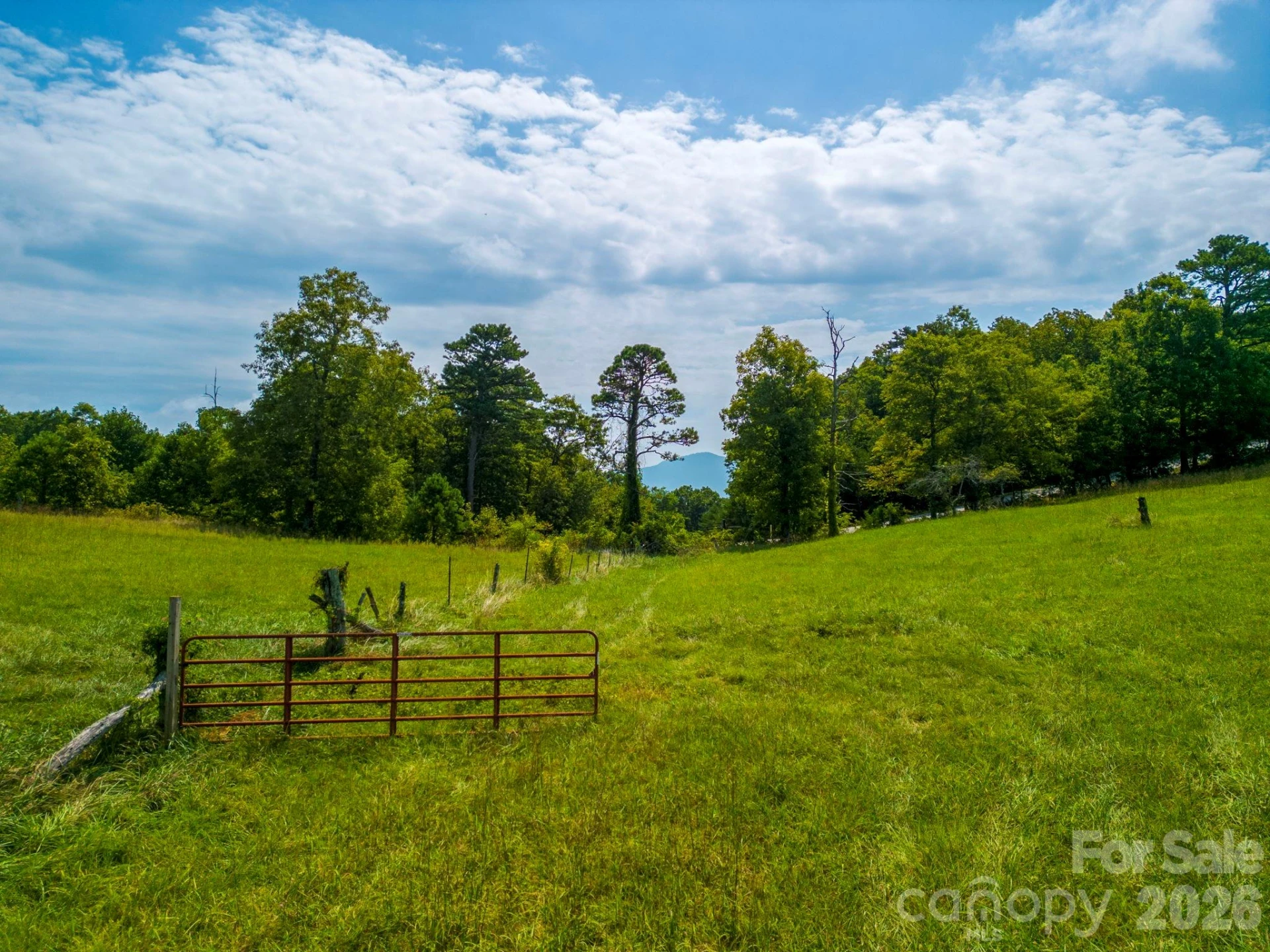 TBD Summer Road #2 - Photo 4