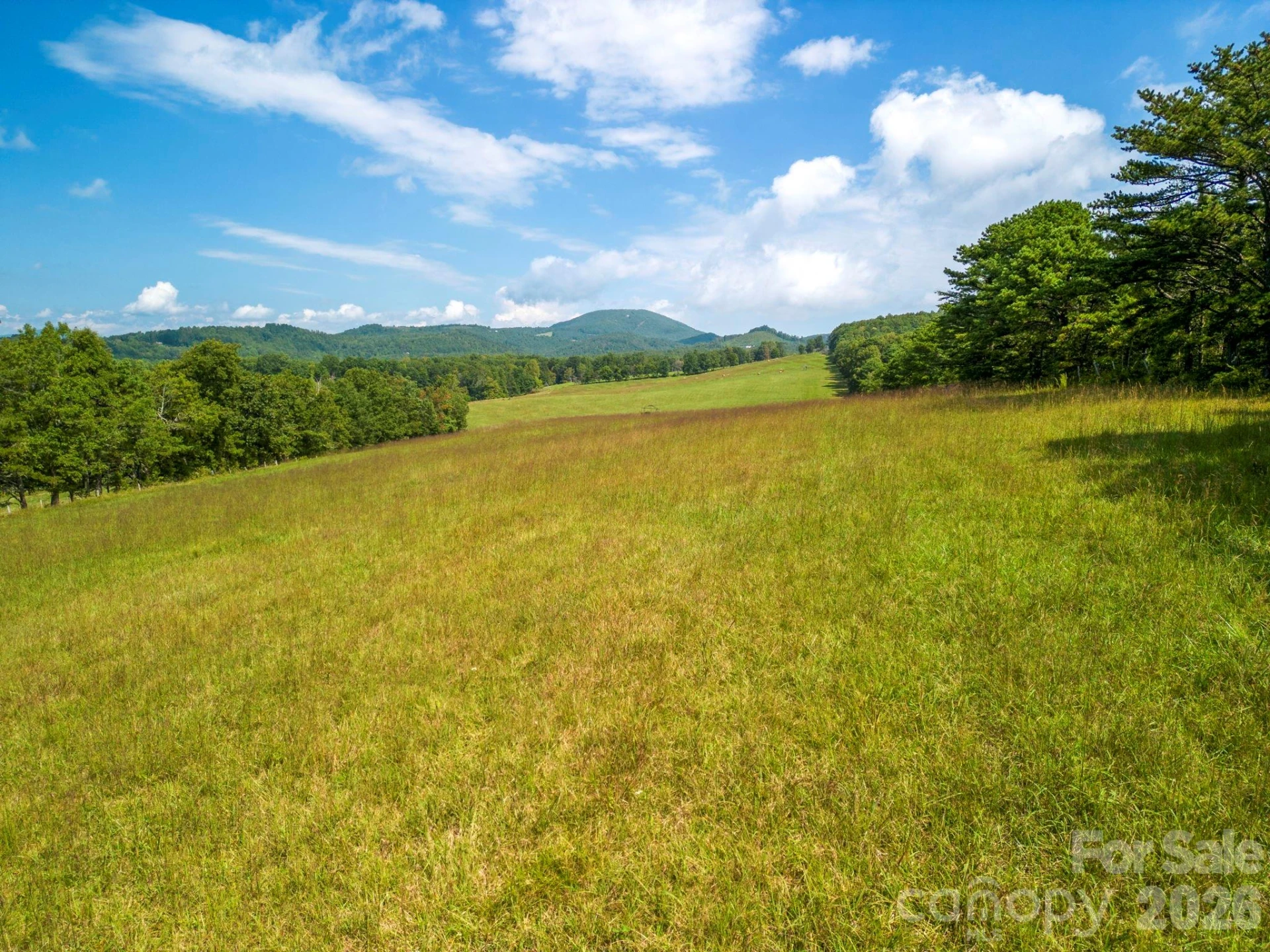 TBD Summer Road #2 - Photo 5
