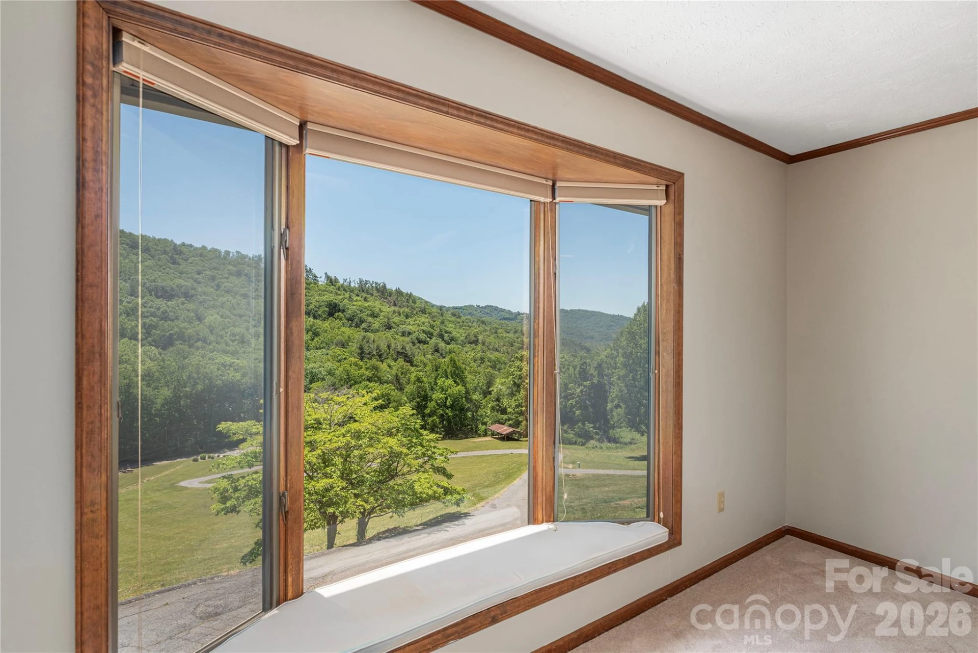 250 Lynn Cove Road - Photo 19