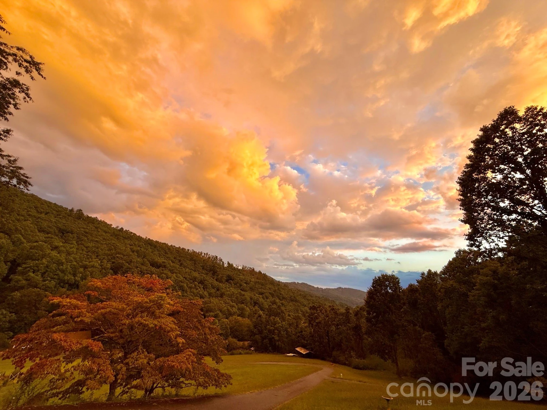 250 Lynn Cove Road - Photo 42
